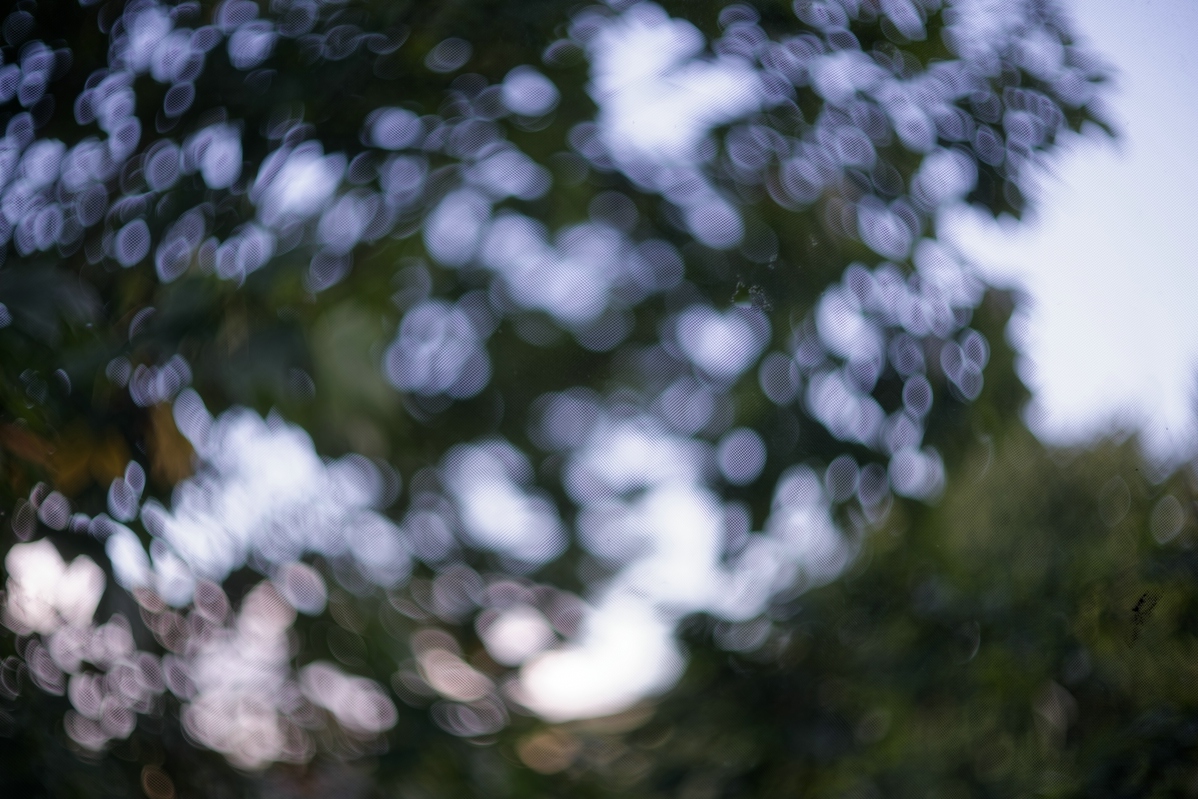 Name:  comp_TTArtisan 75mm F1.5_DxO.jpg
Hits: 286
Gre:  496,6 KB