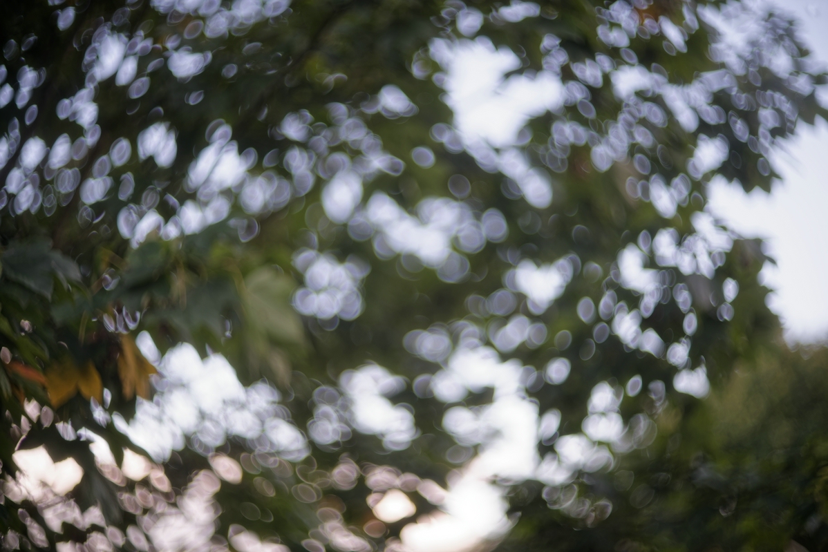 Name:  comp_Helios-40 85mm F1.5_DxO.jpg
Hits: 277
Gre:  521,4 KB