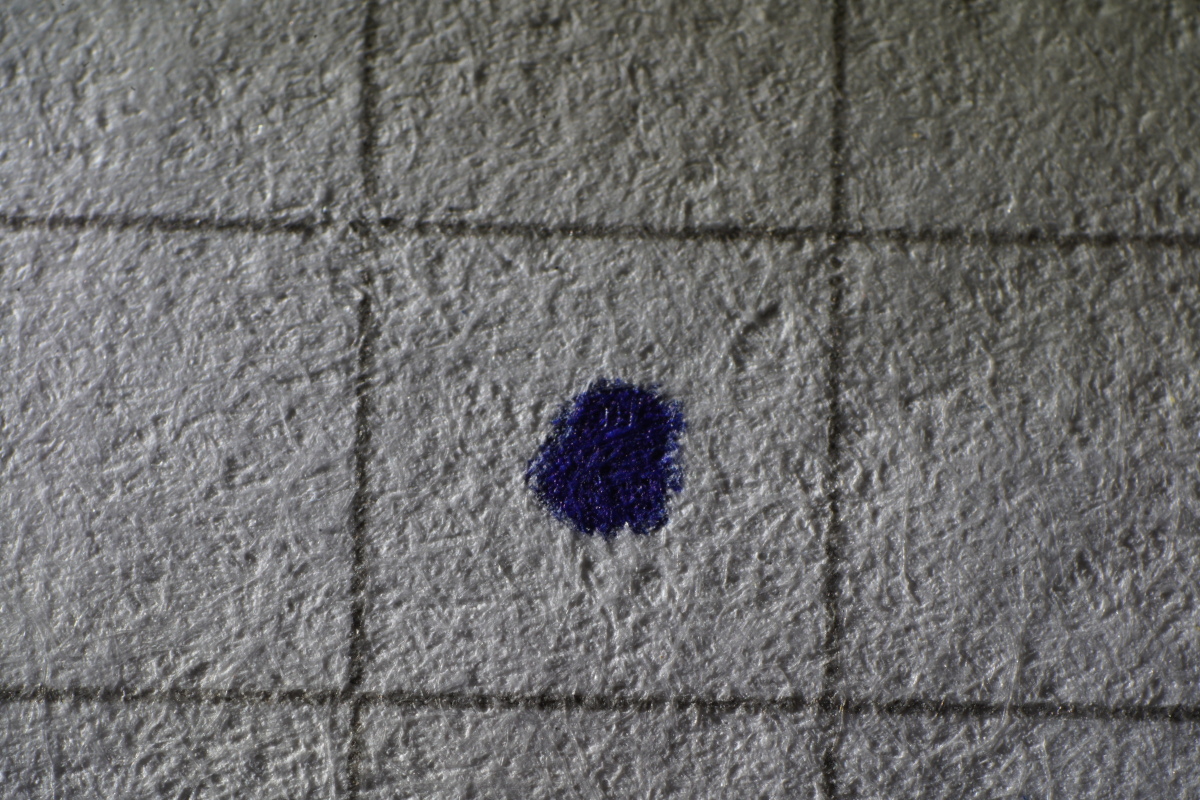 Name:  DSC00279scaliert.JPG
Hits: 112
Gre:  466,8 KB