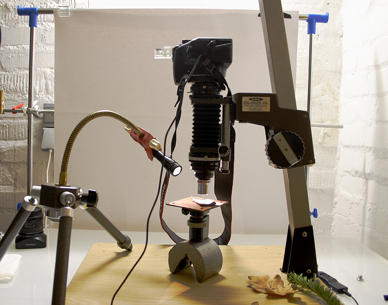 Name: CRW_1779.jpg
Hits: 2359
Größe: 480,0 KB