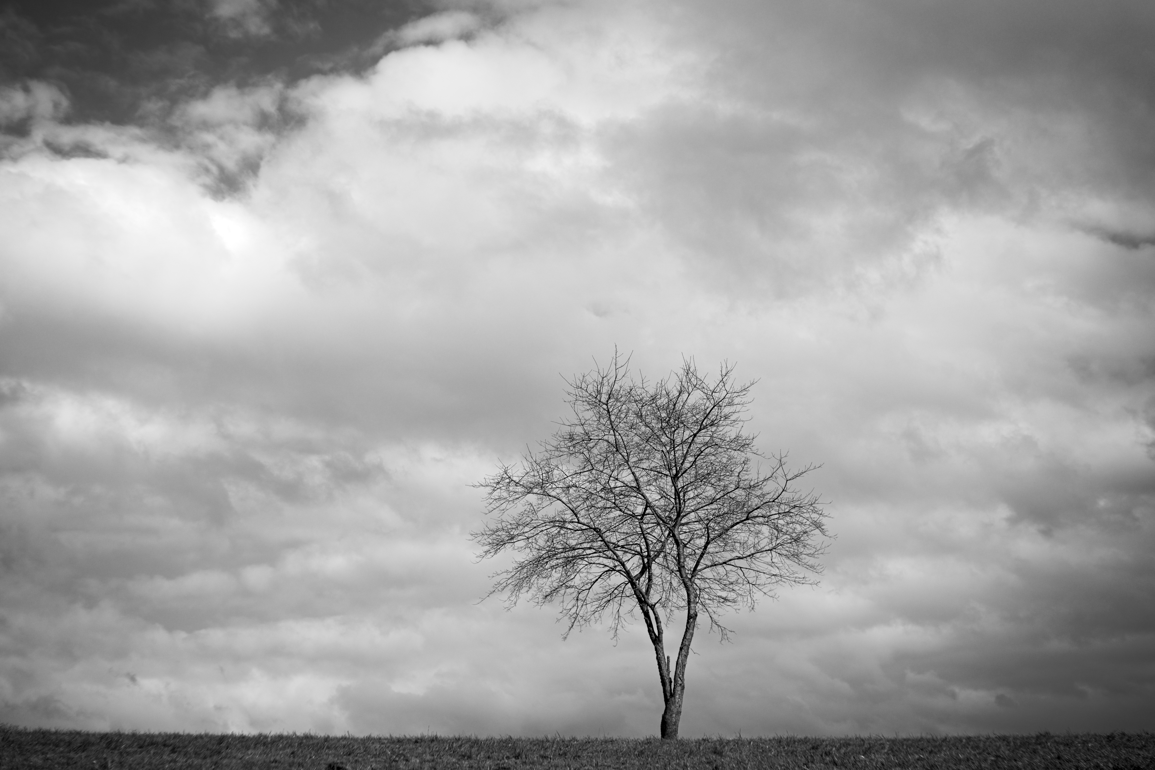 Name: A7C02727_10MP.jpg
Hits: 420
Größe: 3,97 MB