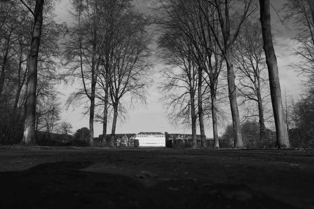 Name:  Allee Schlossblick.JPG
Hits: 171
Gre:  496,8 KB