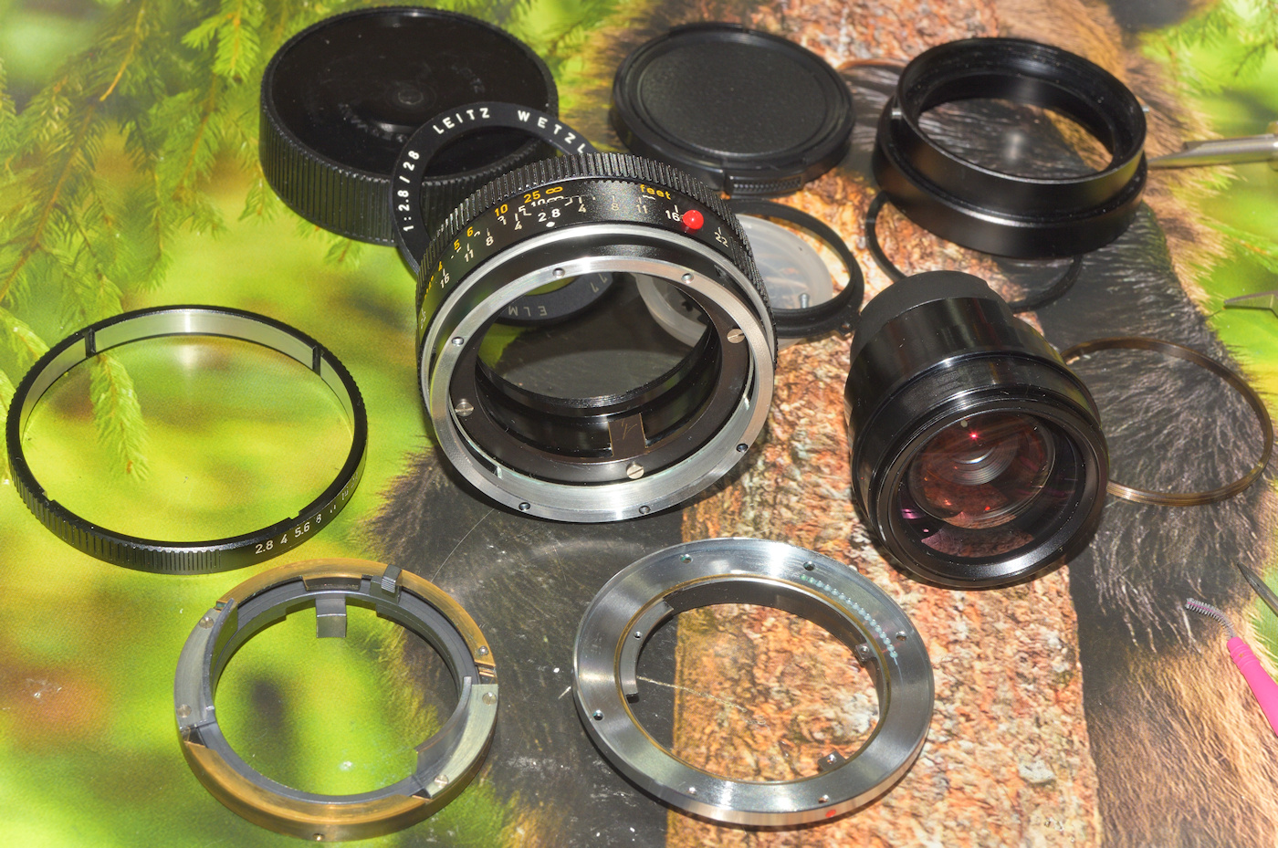 Name:  DSC_11067.jpg
Hits: 38
Gre:  709,9 KB