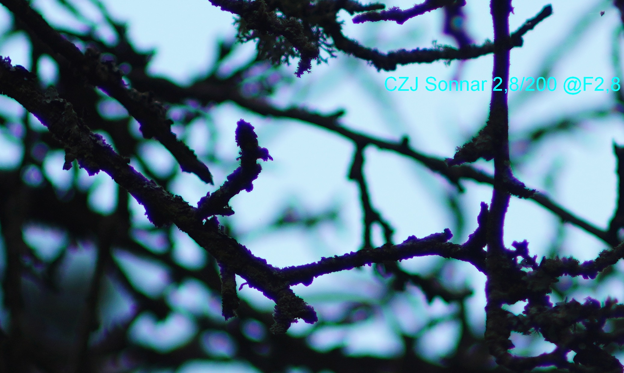 Name:  CZJ_Sonnar28_200_F28.jpg
Hits: 33
Gre:  478,0 KB