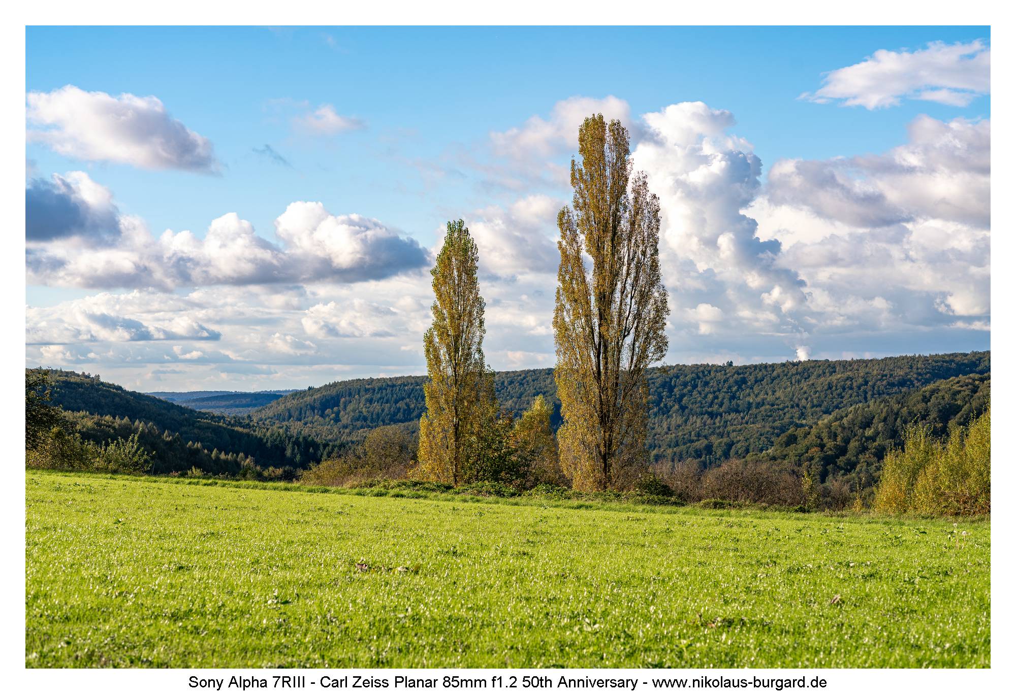 Name:  500kb_7R301915.jpg
Hits: 20
Gre:  496,4 KB