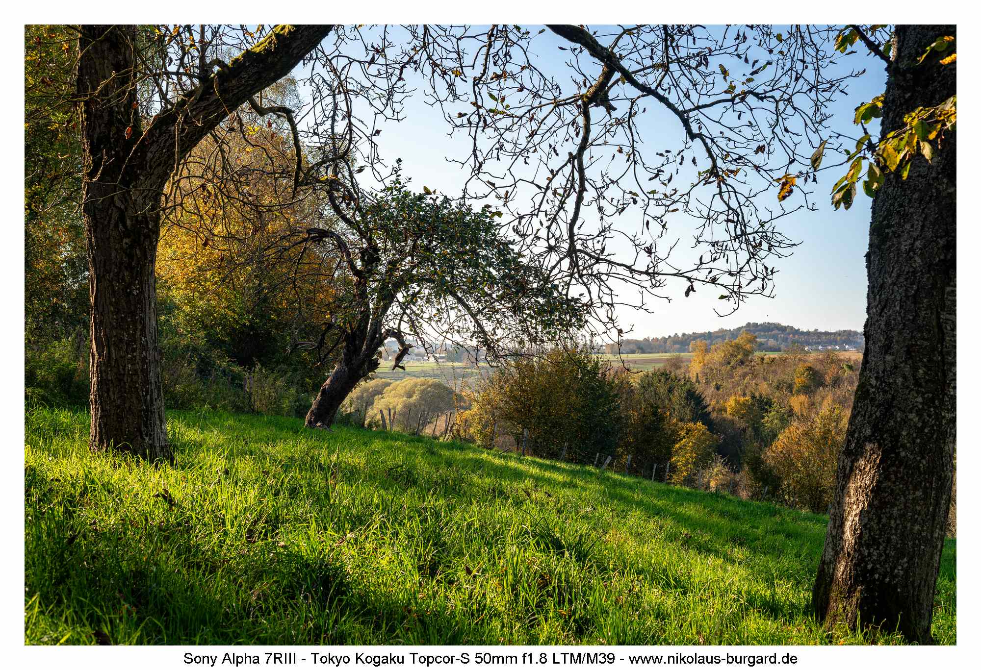 Name:  500kb_7R302660.jpg
Hits: 55
Gre:  497,3 KB