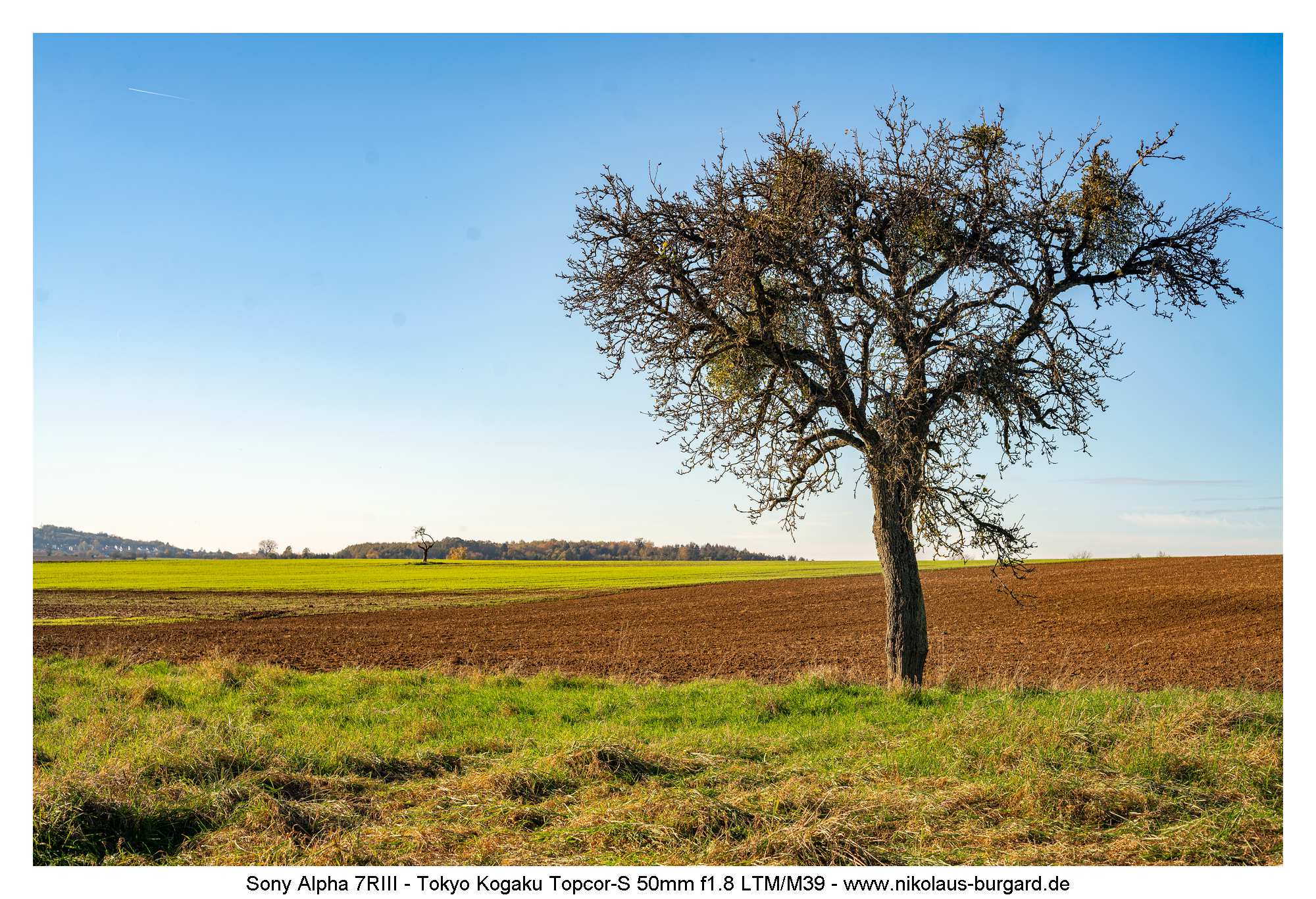 Name:  500kb_7R302673.jpg
Hits: 53
Gre:  496,2 KB