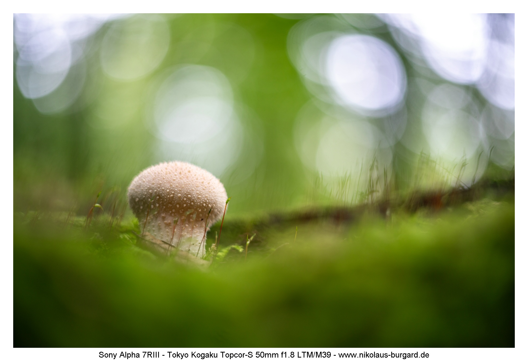 Name:  500kb_7R301869.jpg
Hits: 50
Gre:  439,0 KB