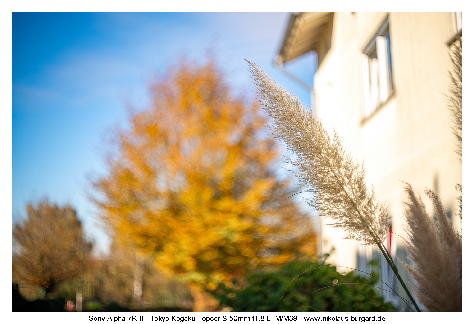 Name:  500kb_7R302658.jpg
Hits: 51
Gre:  473,0 KB