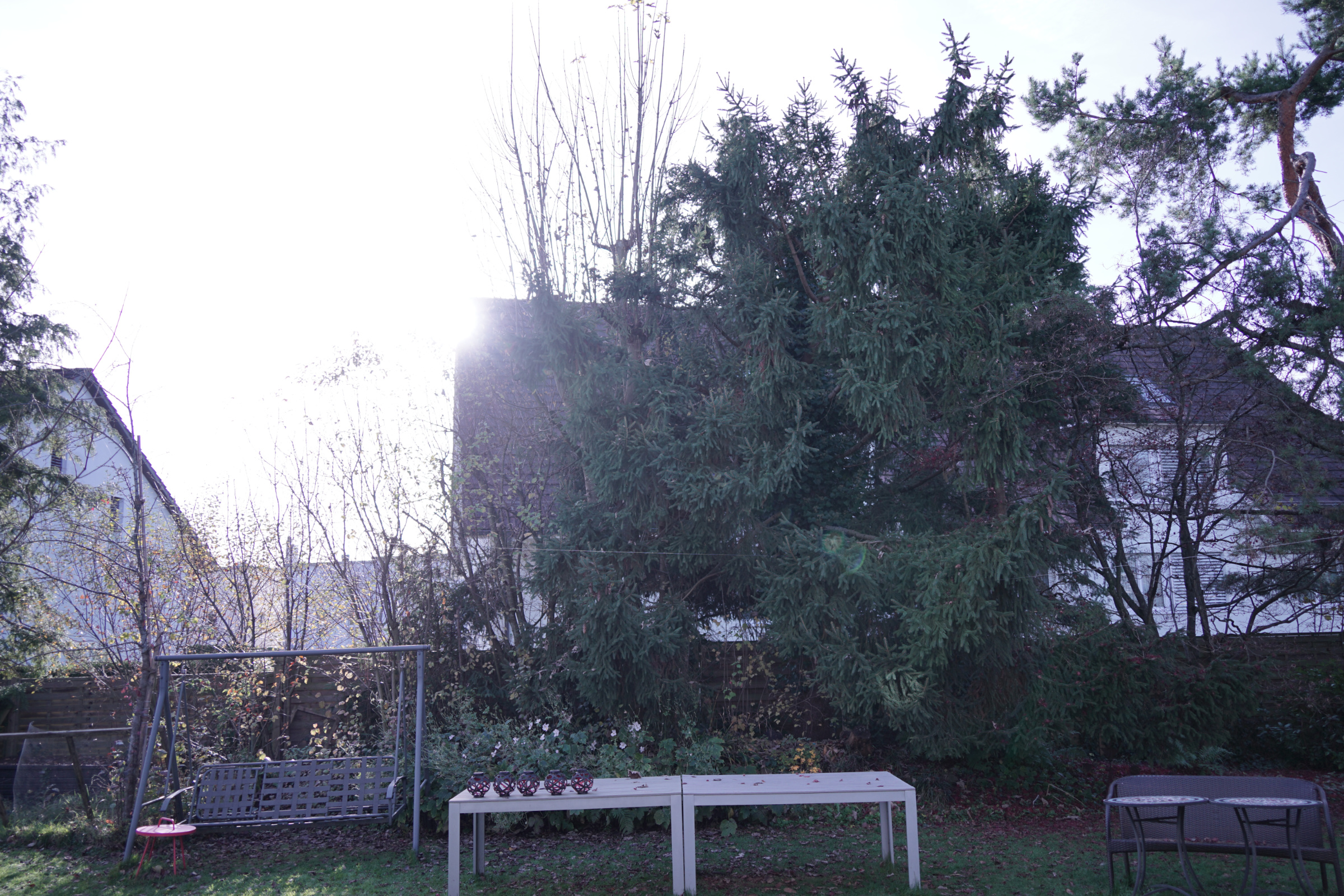 Name:  Tamron 2.8.jpg
Hits: 17
Gre:  1,78 MB