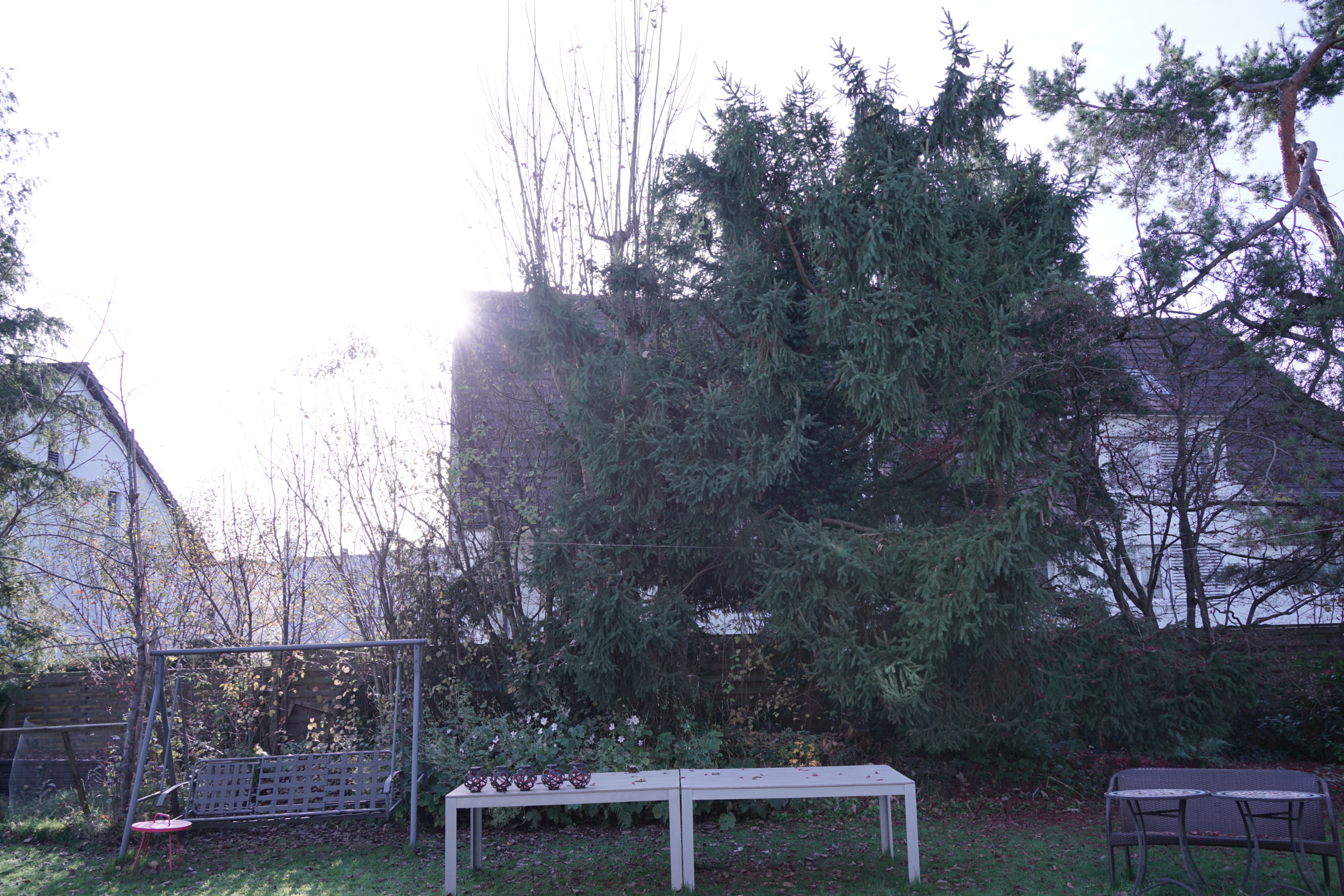 Name:  Tamron 8.jpg
Hits: 18
Gre:  1,89 MB