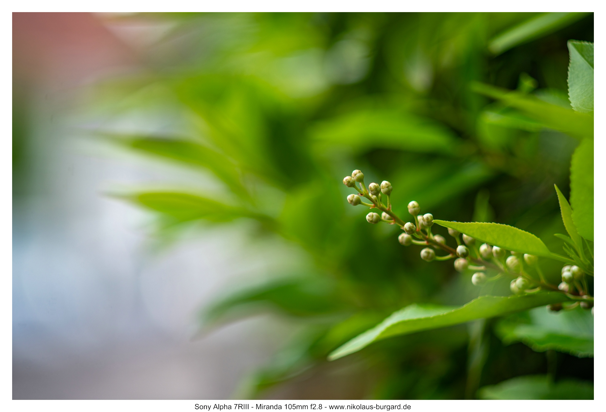 Name:  500kb_7R306930.jpg
Hits: 95
Gre:  478,1 KB