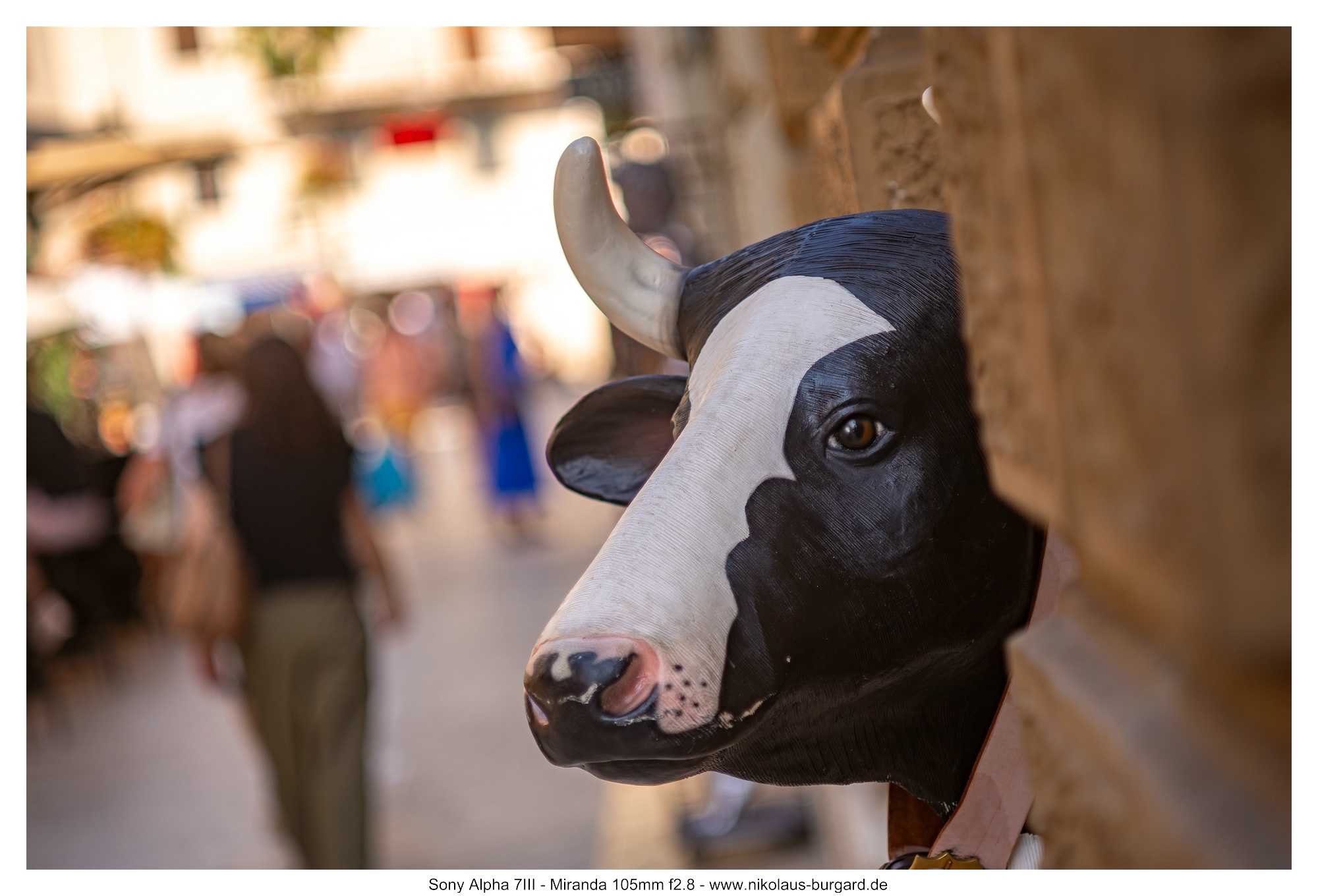 Name:  500kb_A7300896.jpg
Hits: 96
Gre:  469,9 KB