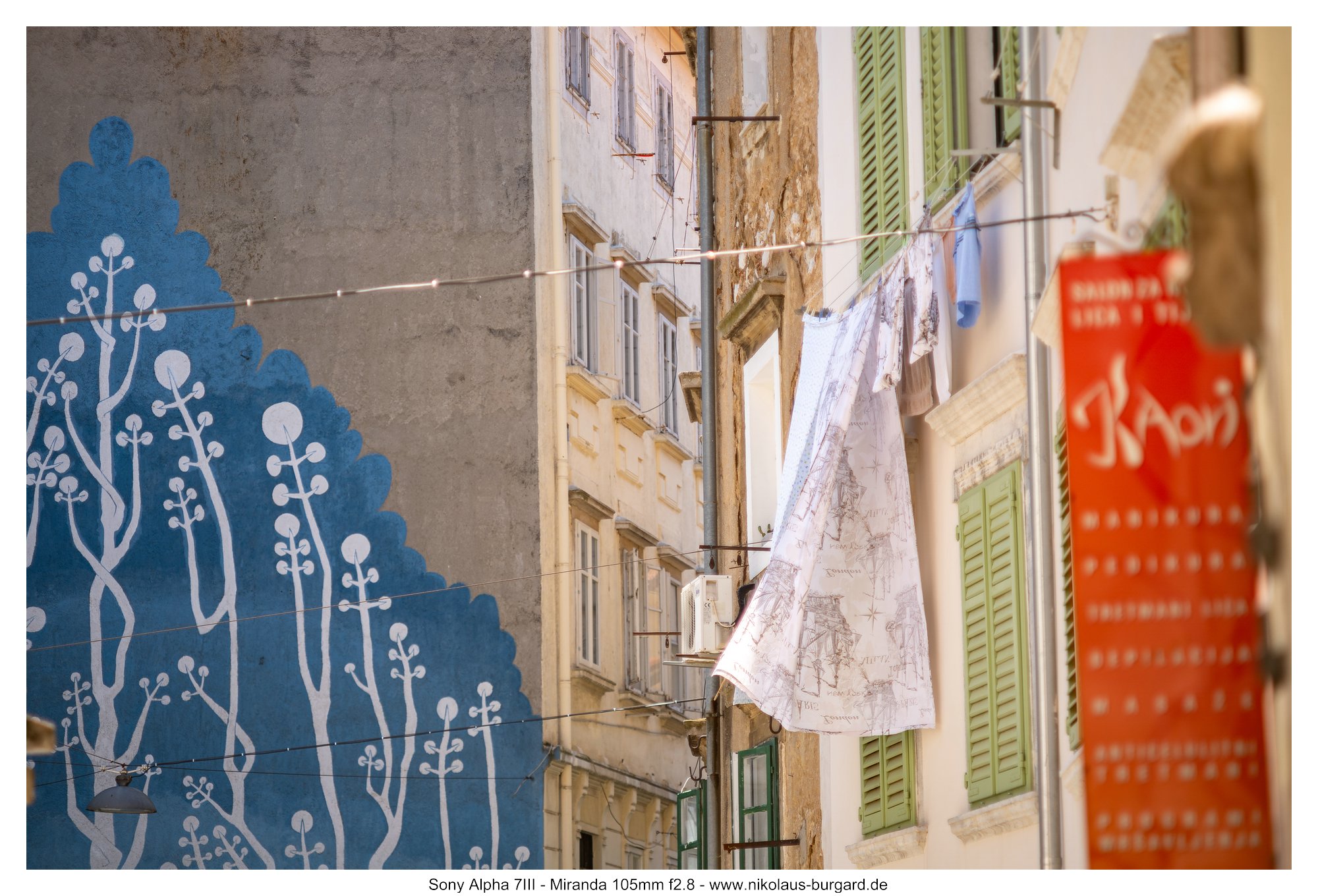 Name:  500kb_A7300862.jpg
Hits: 94
Gre:  490,6 KB