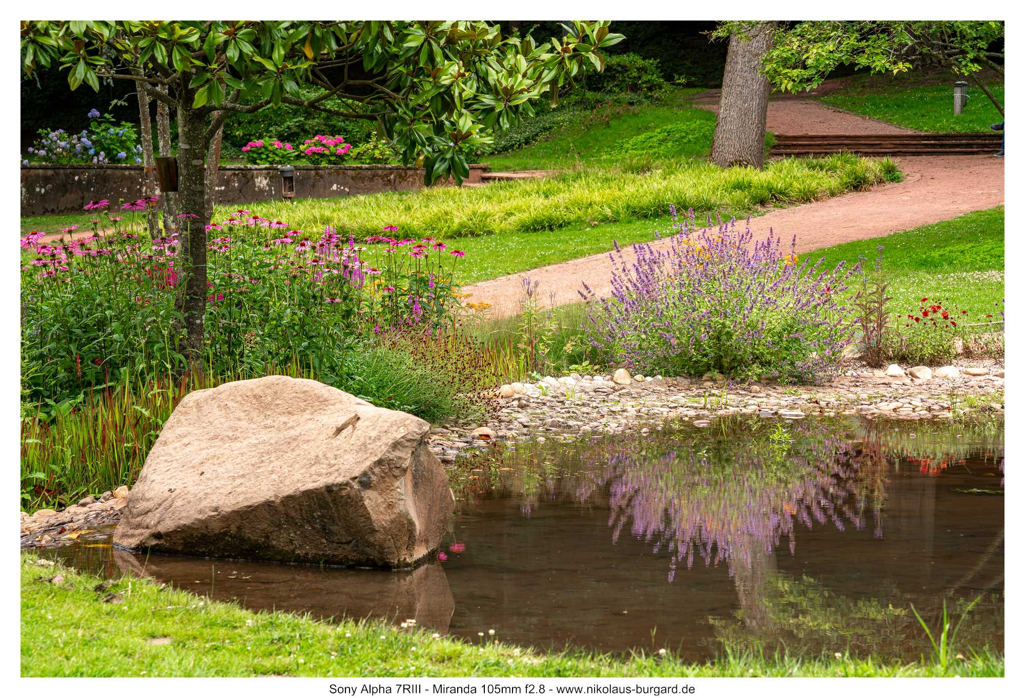 Name:  500kb_7R309495.jpg
Hits: 95
Gre:  498,7 KB