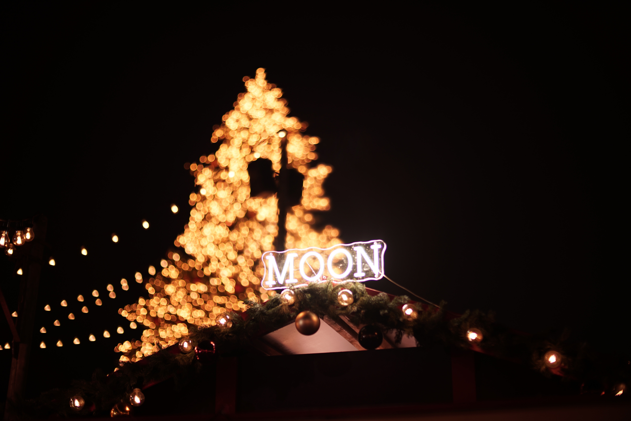 Name:  Weihnachtsmarkt Z�rich 01 mit Zhong Yi Mitakon 50mm 0.95 Dark Knight.jpg
Hits: 50
Gr��e:  609,1 KB