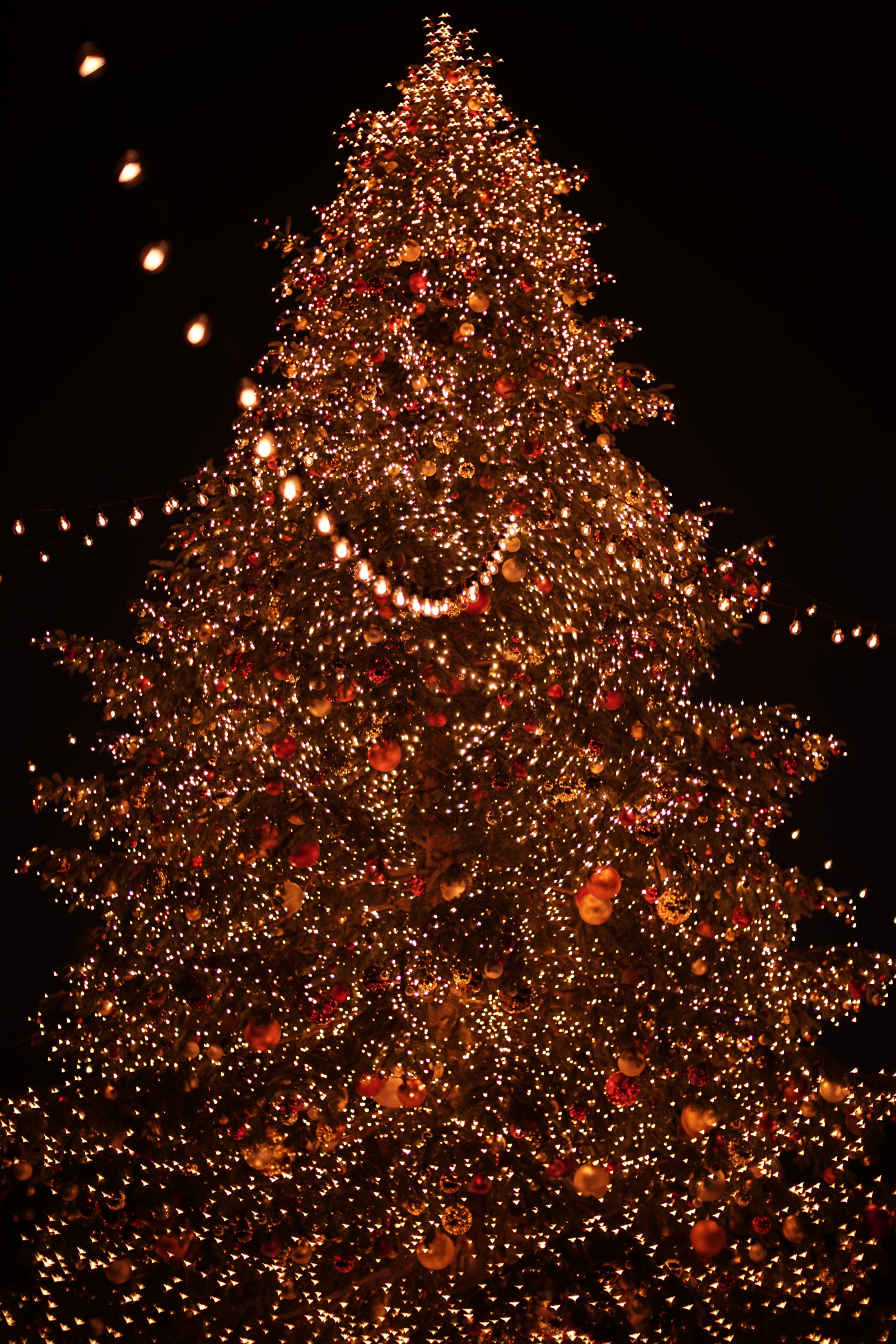 Name:  Weihnachtsmarkt Z�rich 02 mit Zhong Yi Mitakon 50mm 0.95 Dark Knight.jpg
Hits: 50
Gr��e:  1,80 MB