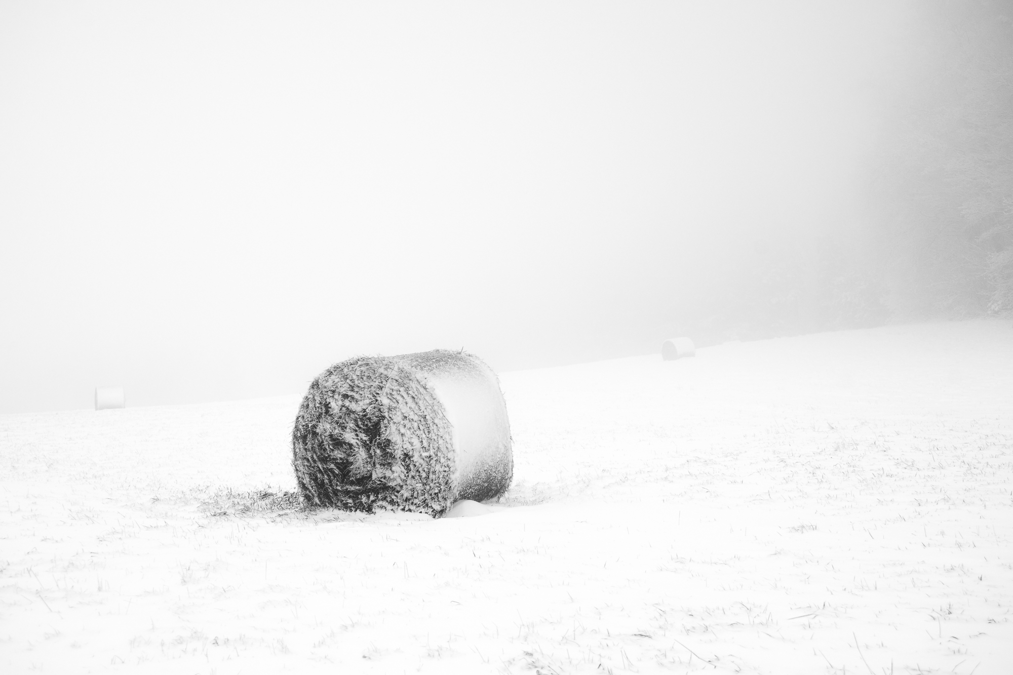 Name:  Ballen.jpg
Hits: 103
Gr��e:  706,9 KB