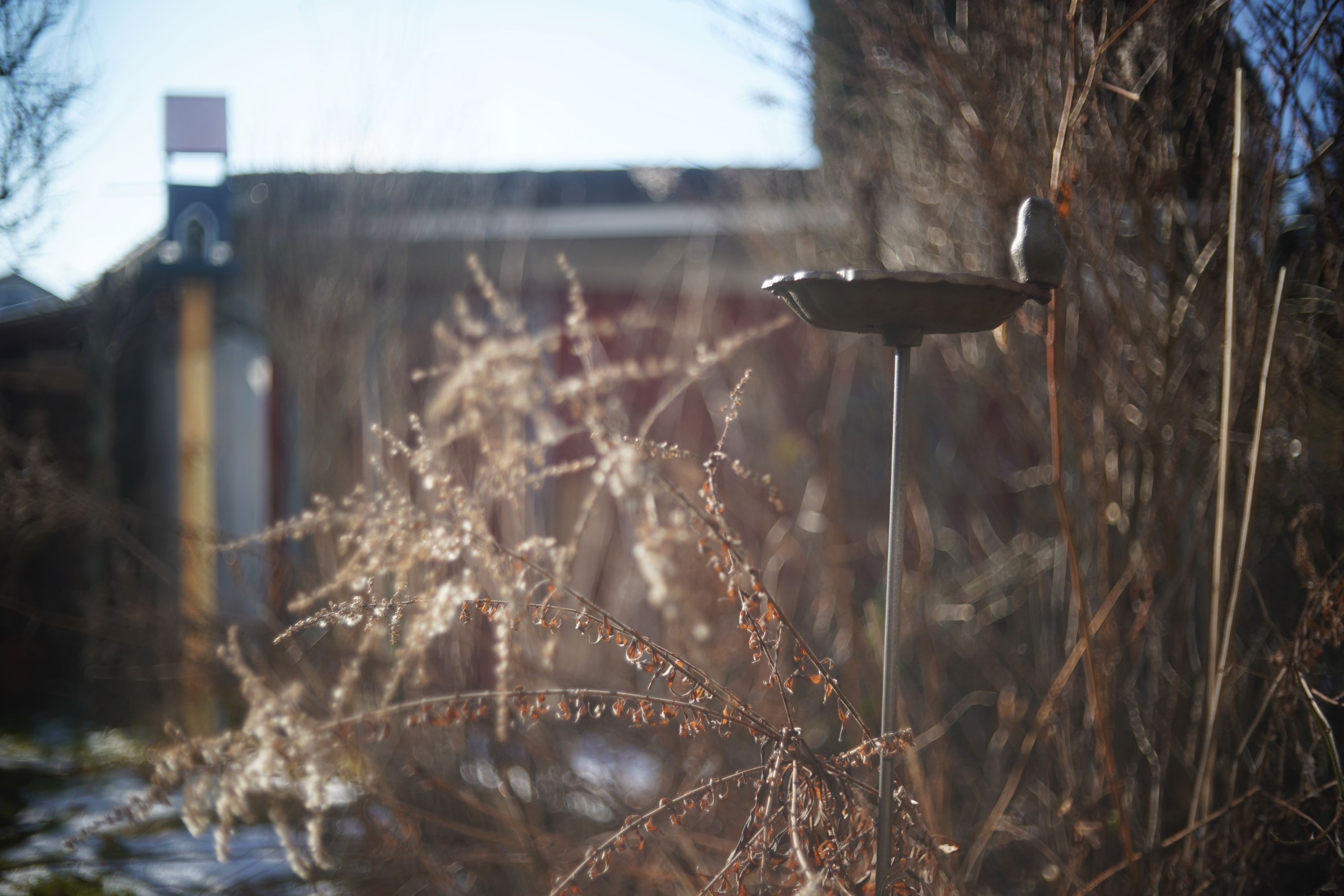 Name:  A9_08545.jpg
Hits: 11
Gr��e:  444,6 KB