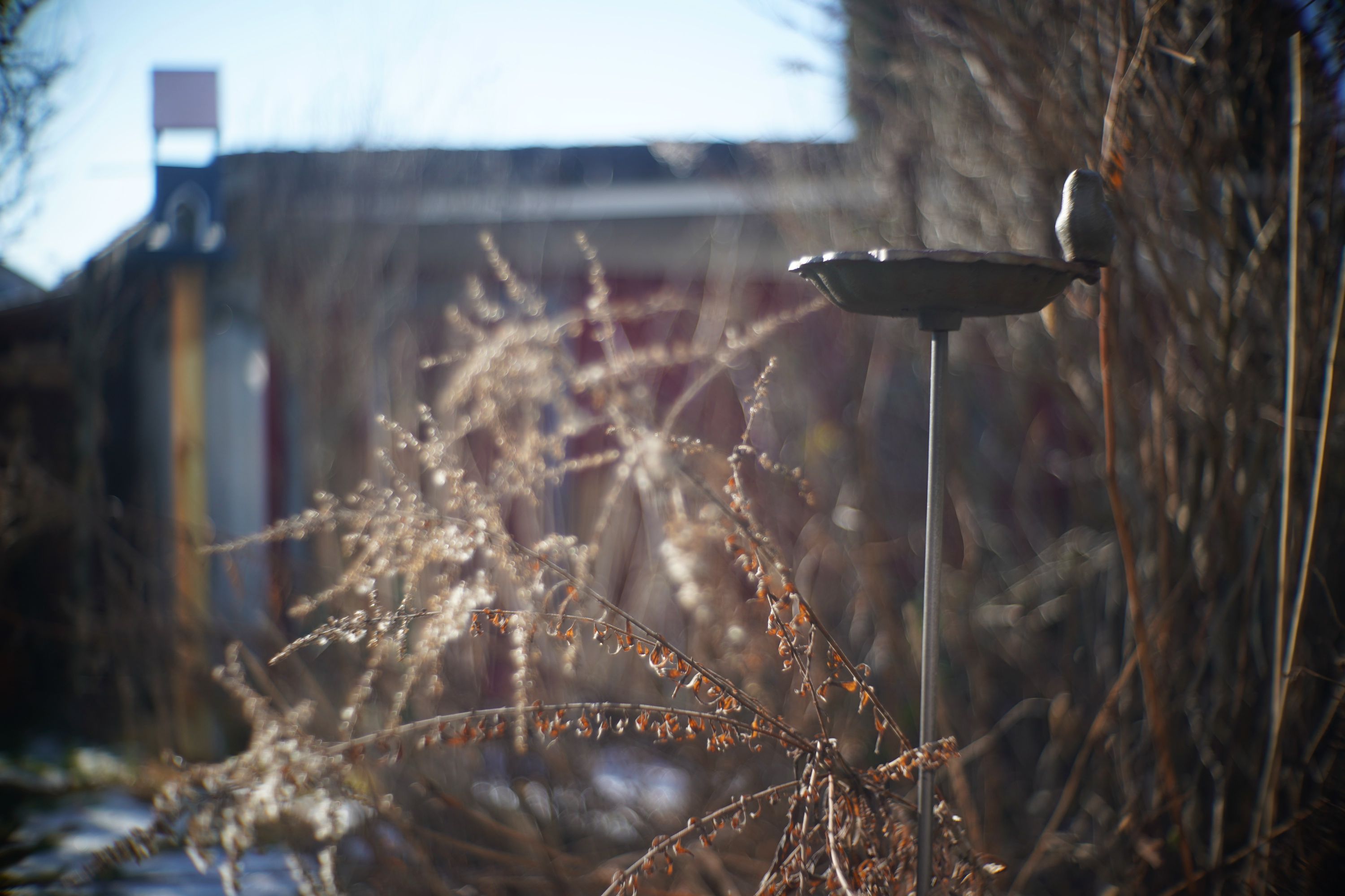 Name:  A9_08546.jpg
Hits: 11
Gr��e:  399,4 KB