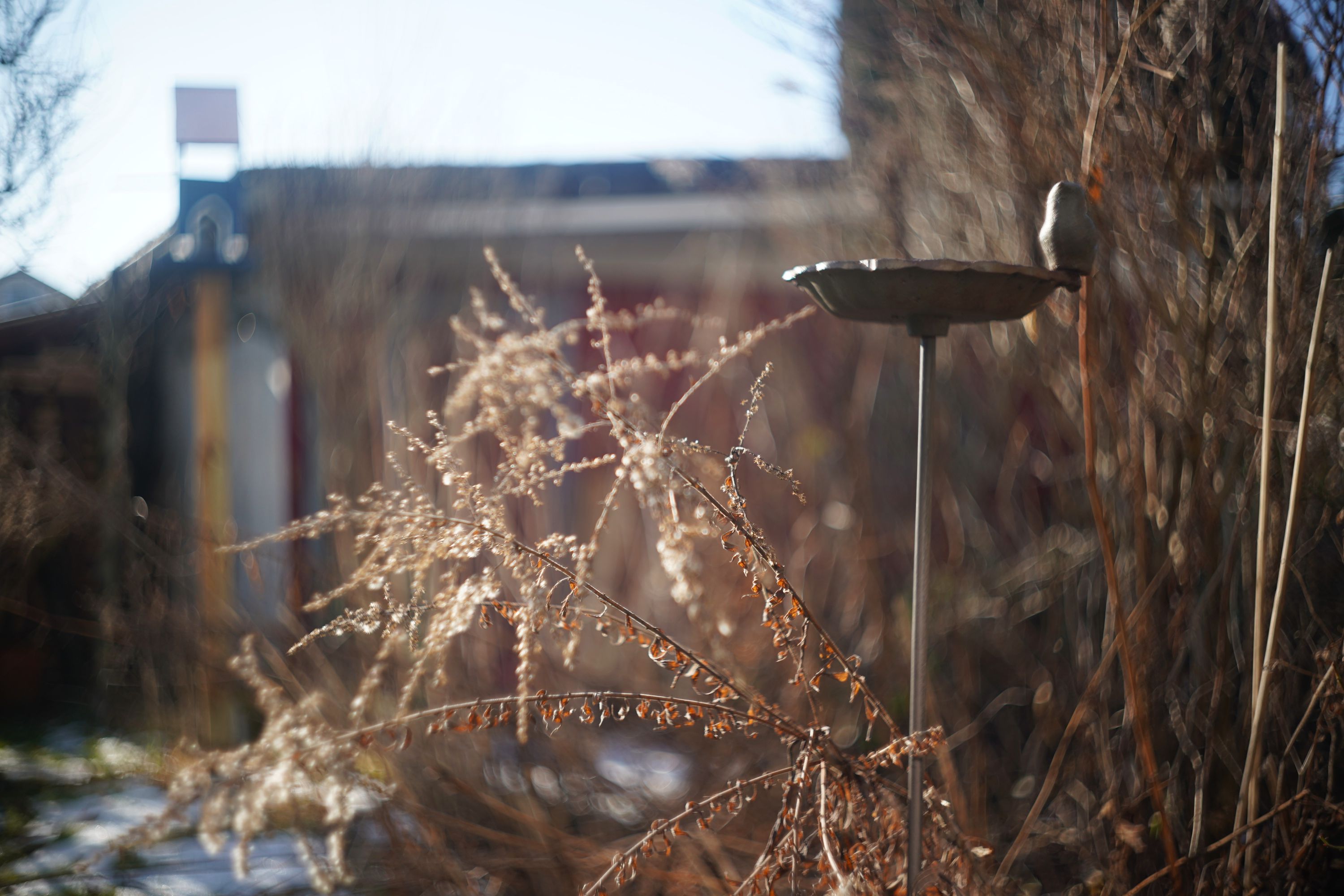 Name:  A9_08547.jpg
Hits: 11
Gr��e:  506,5 KB