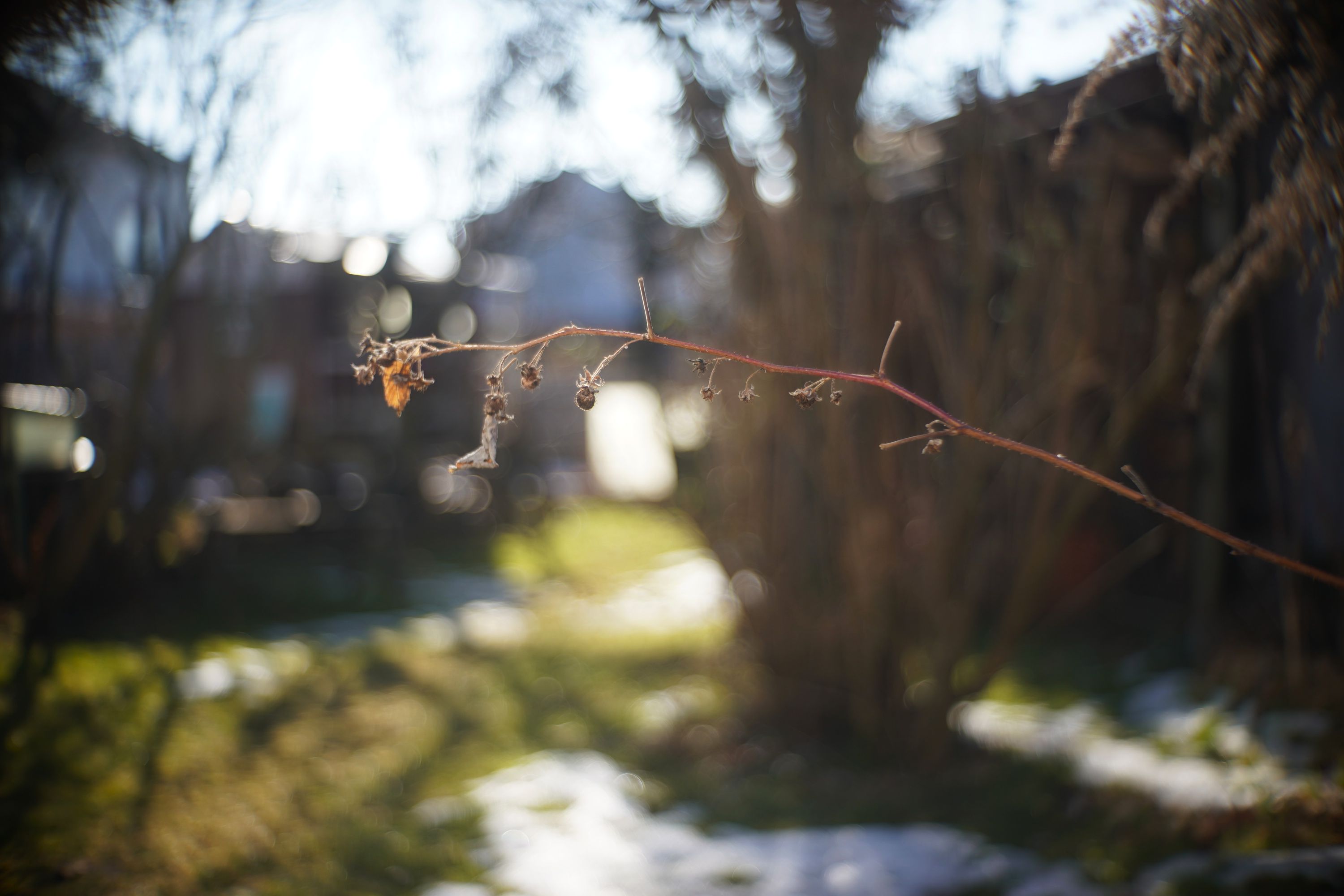 Name:  A9_08550.jpg
Hits: 11
Gr��e:  288,3 KB