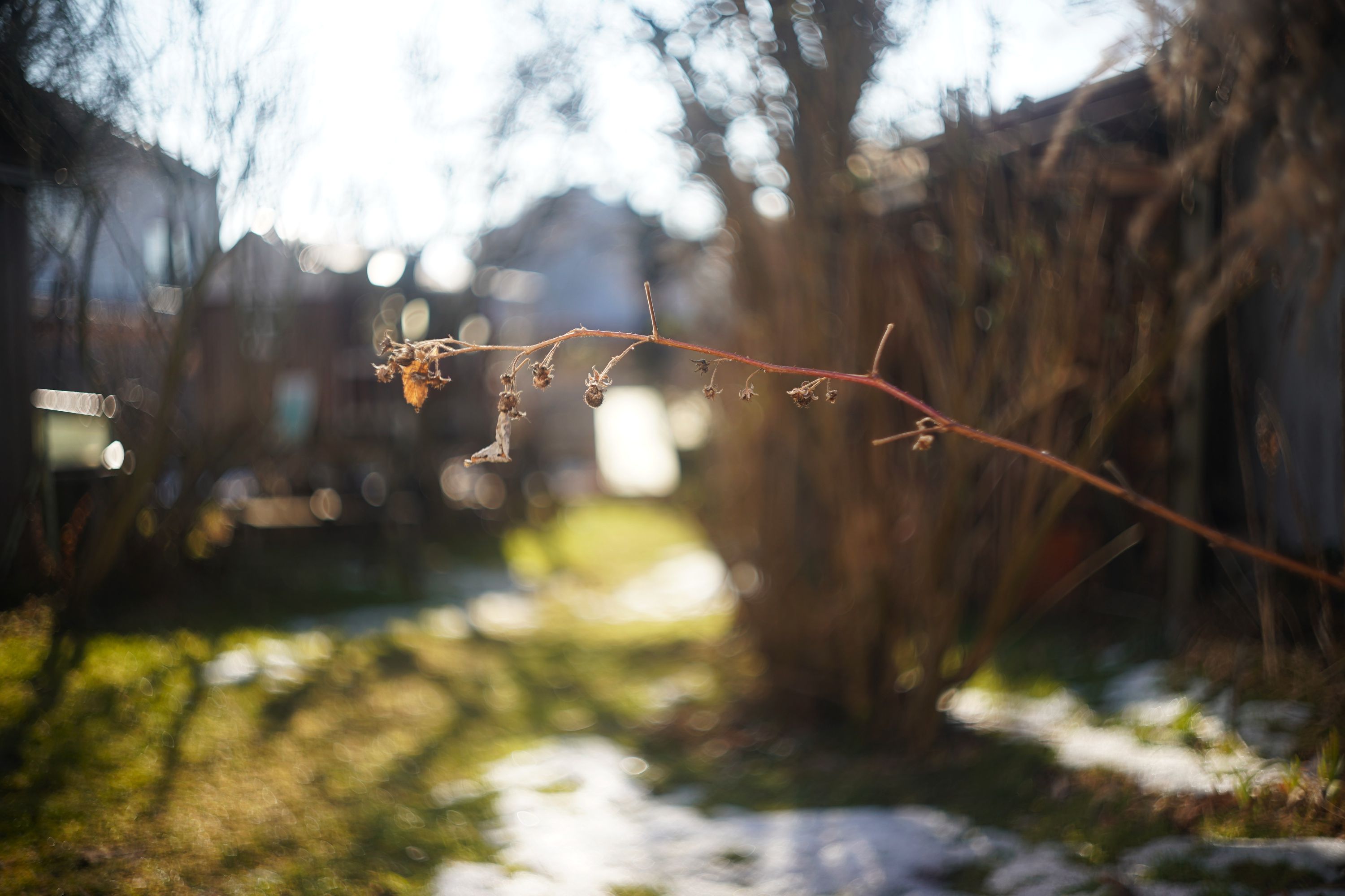 Name:  A9_08551.jpg
Hits: 11
Gr��e:  371,7 KB