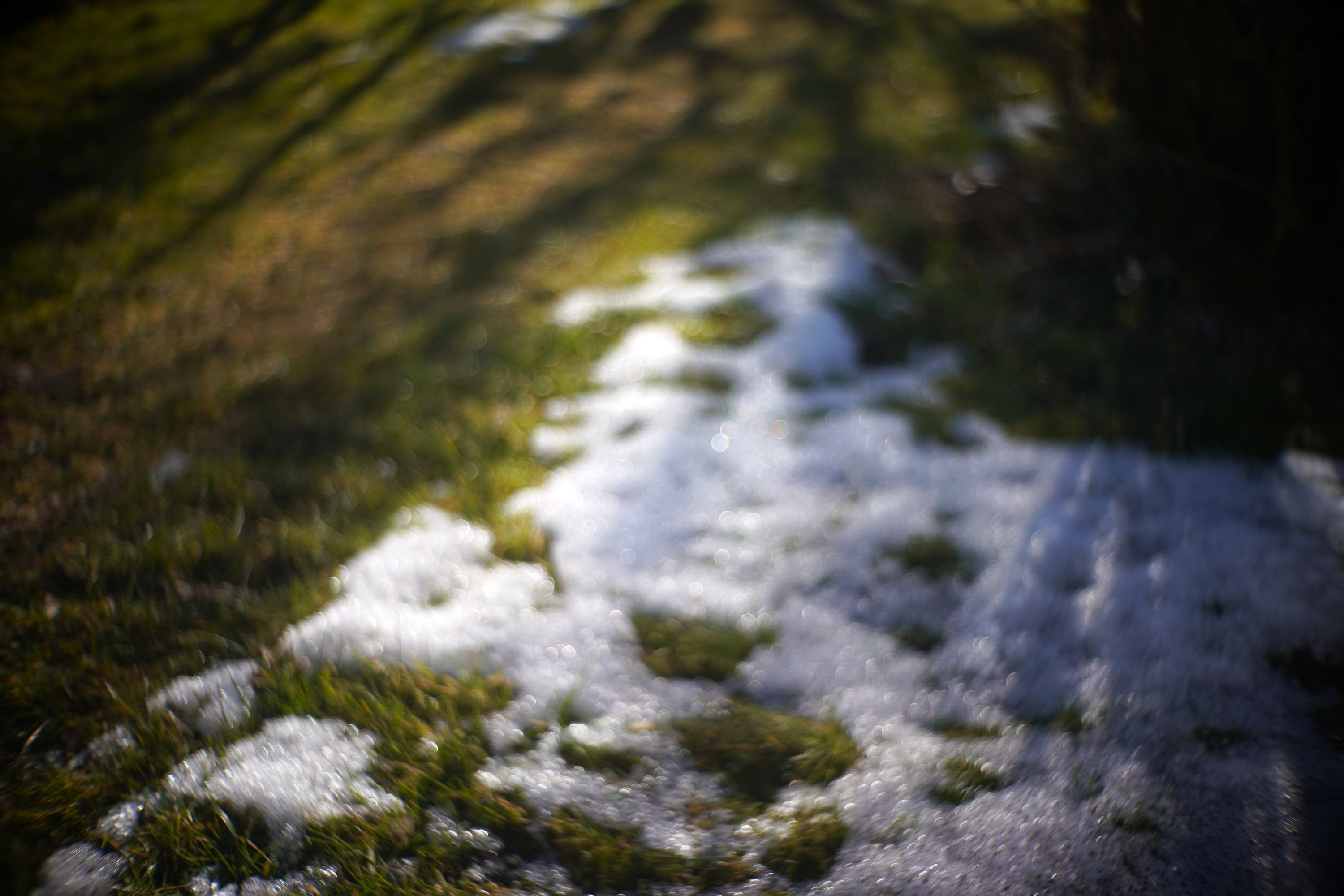 Name:  A9_08553.jpg
Hits: 11
Gr��e:  409,9 KB