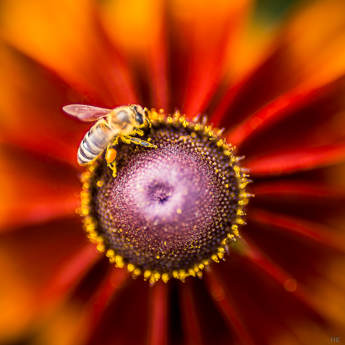 Name:  jml_dcc_2-4.jpg
Hits: 35
Gr��e:  612,4 KB