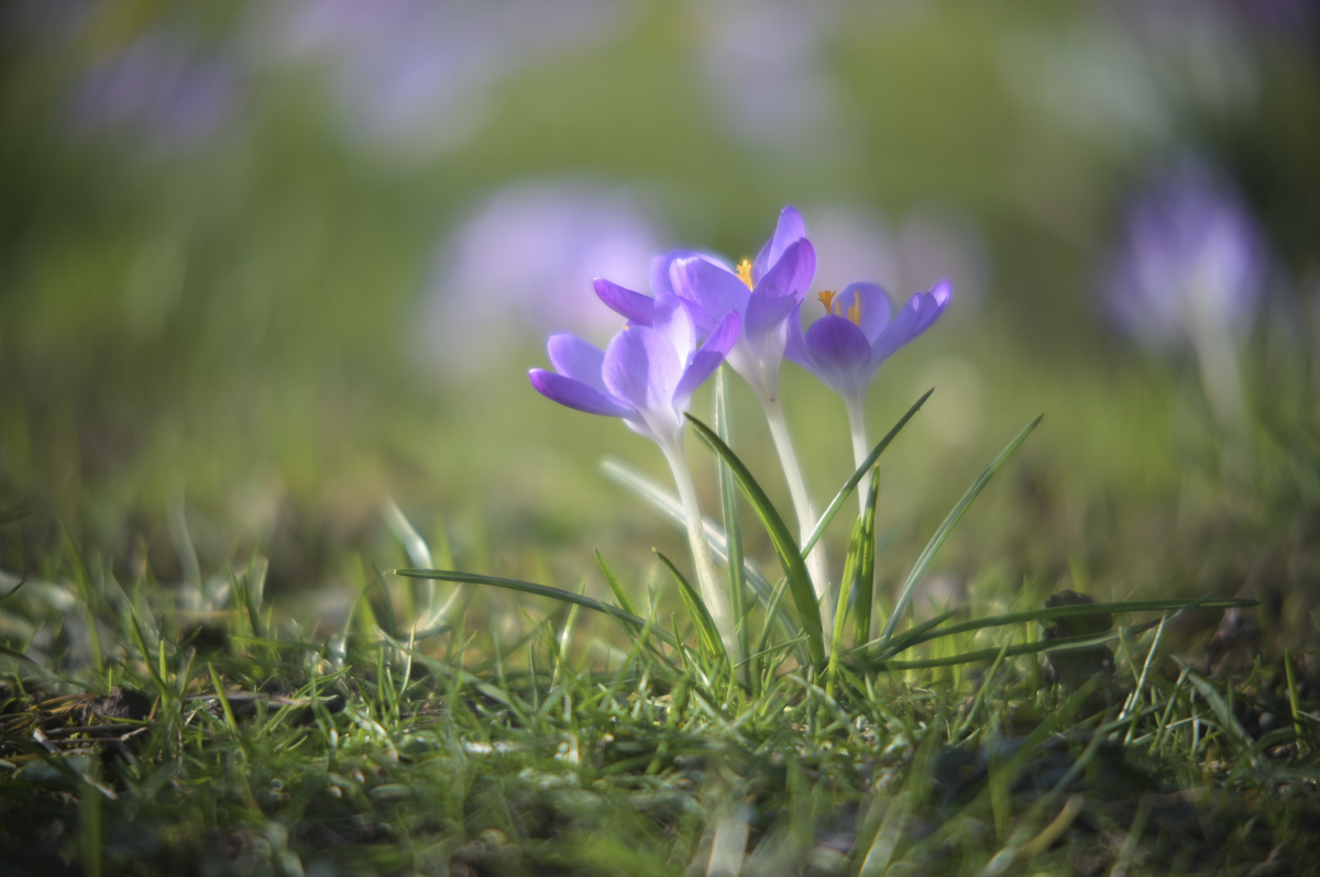 Name:  JKB_7479.jpg
Hits: 13
Gr��e:  454,3 KB