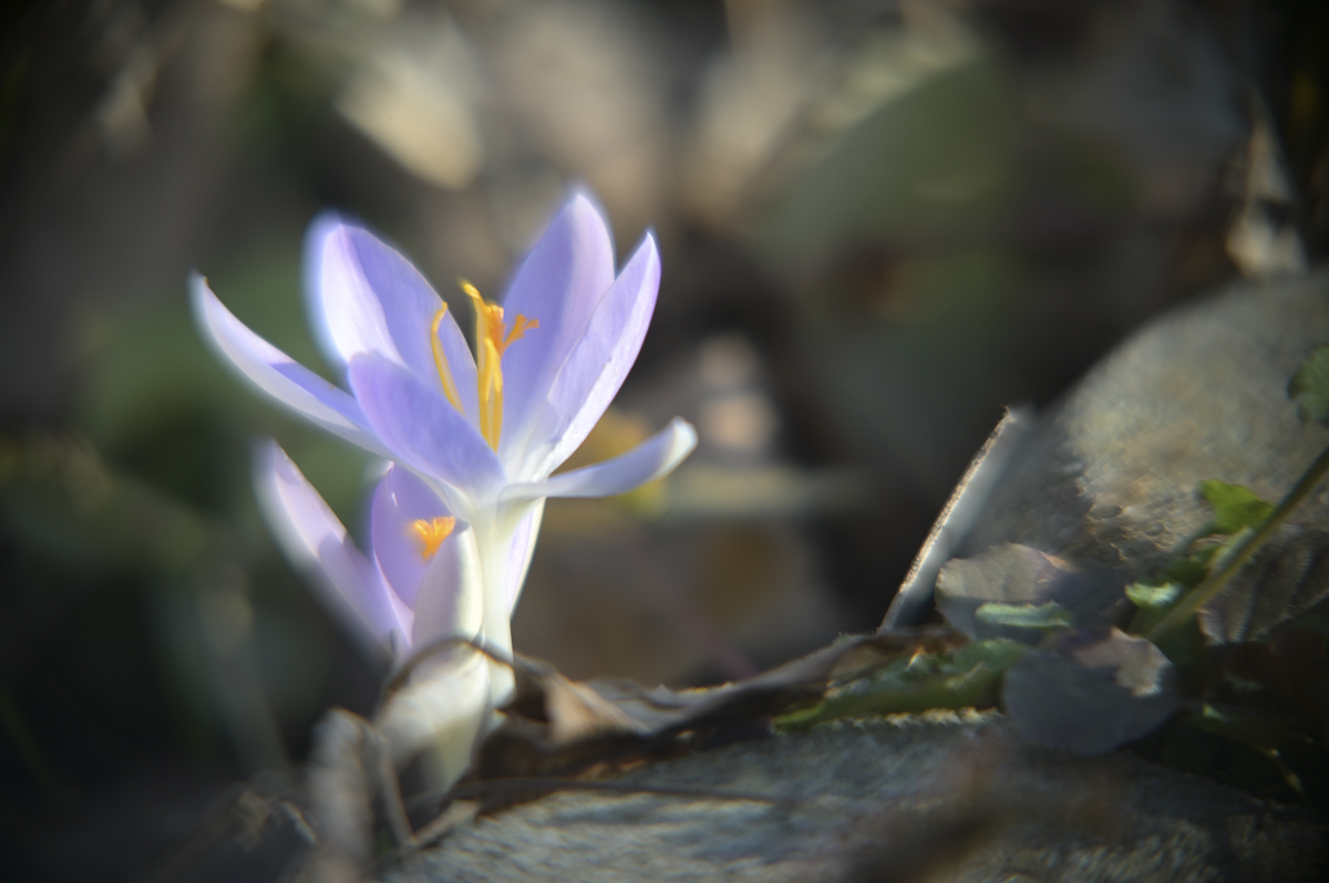 Name:  JKB_7492.jpg
Hits: 13
Gr��e:  356,0 KB