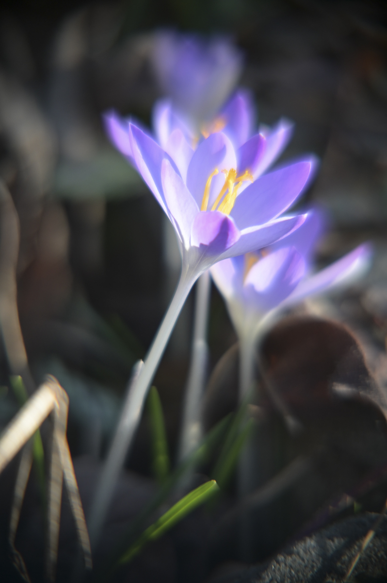 Name:  JKB_7500.jpg
Hits: 13
Gr��e:  343,8 KB