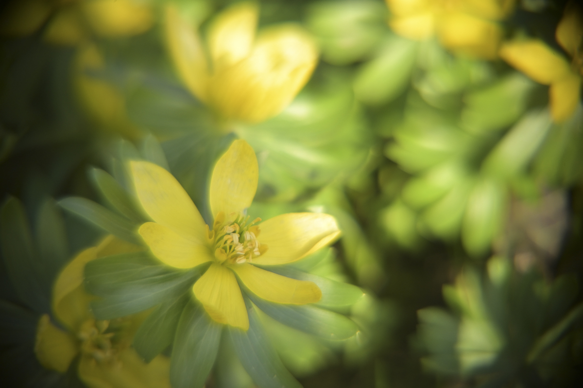 Name:  JKB_7519.jpg
Hits: 12
Gr��e:  360,6 KB