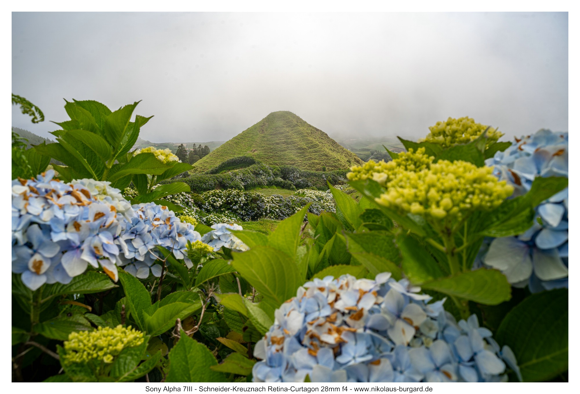 Name:  500kb_A7300248.jpg
Hits: 21
Gr��e:  493,8 KB