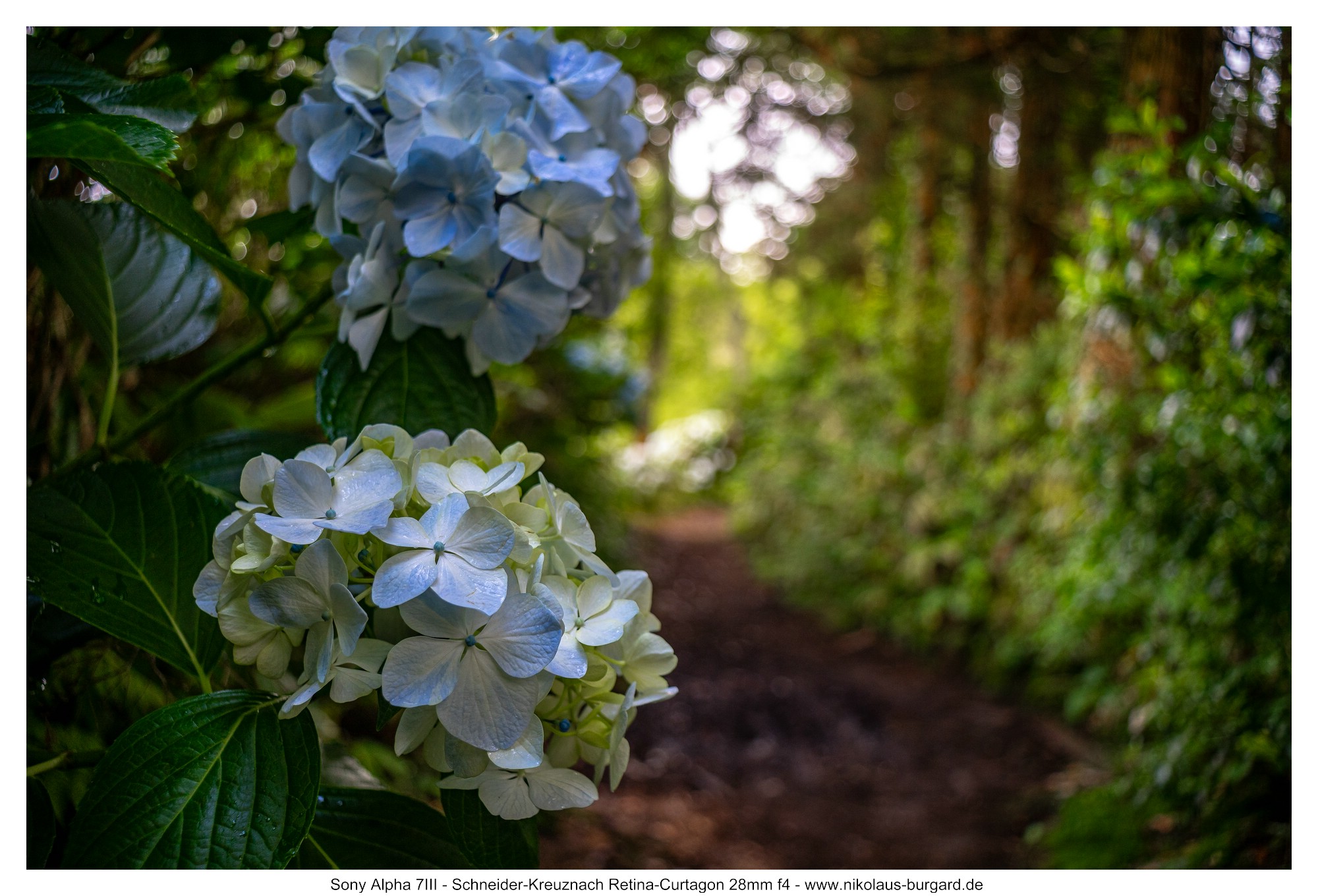 Name:  500kb_A7300169.jpg
Hits: 21
Gr��e:  493,8 KB