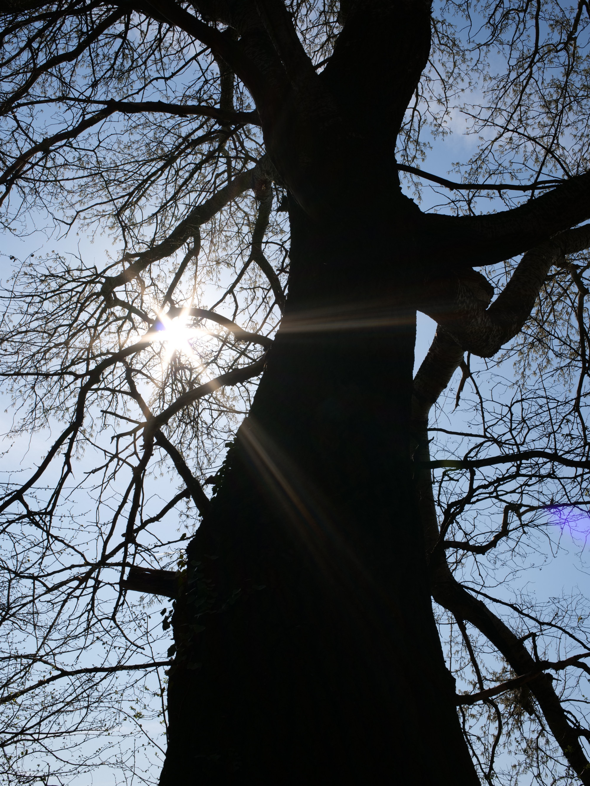 Name:  Voigtlaender Color Skoparex 35mm 2.8_0002.JPG
Hits: 14
Gr��e:  1,62 MB