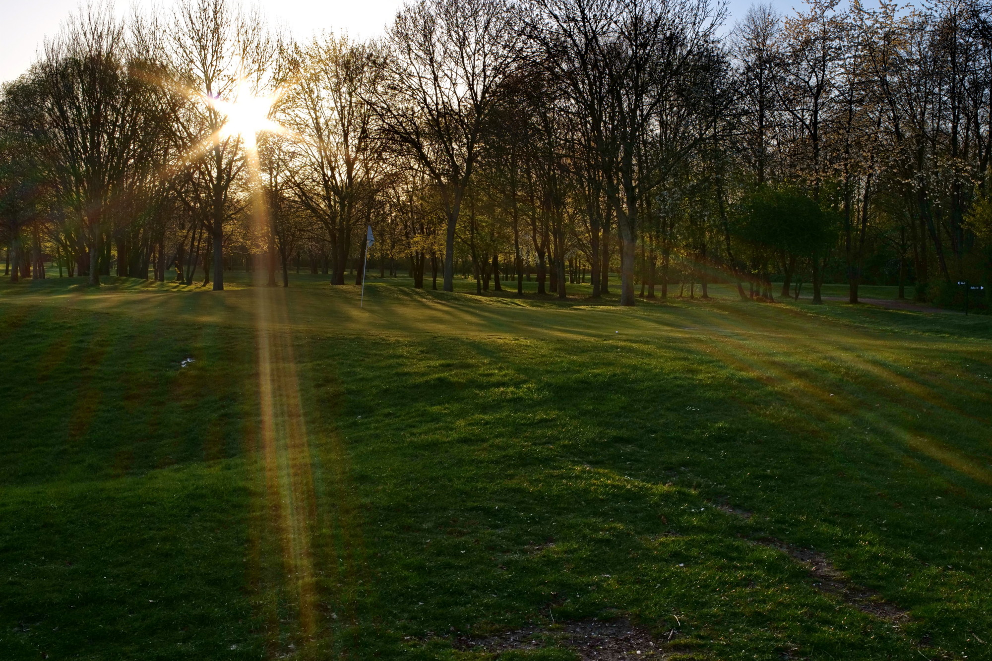 Name:  Voigtlaender Color Skoparex 35mm_Golfplatz.JPG
Hits: 13
Gr��e:  997,8 KB