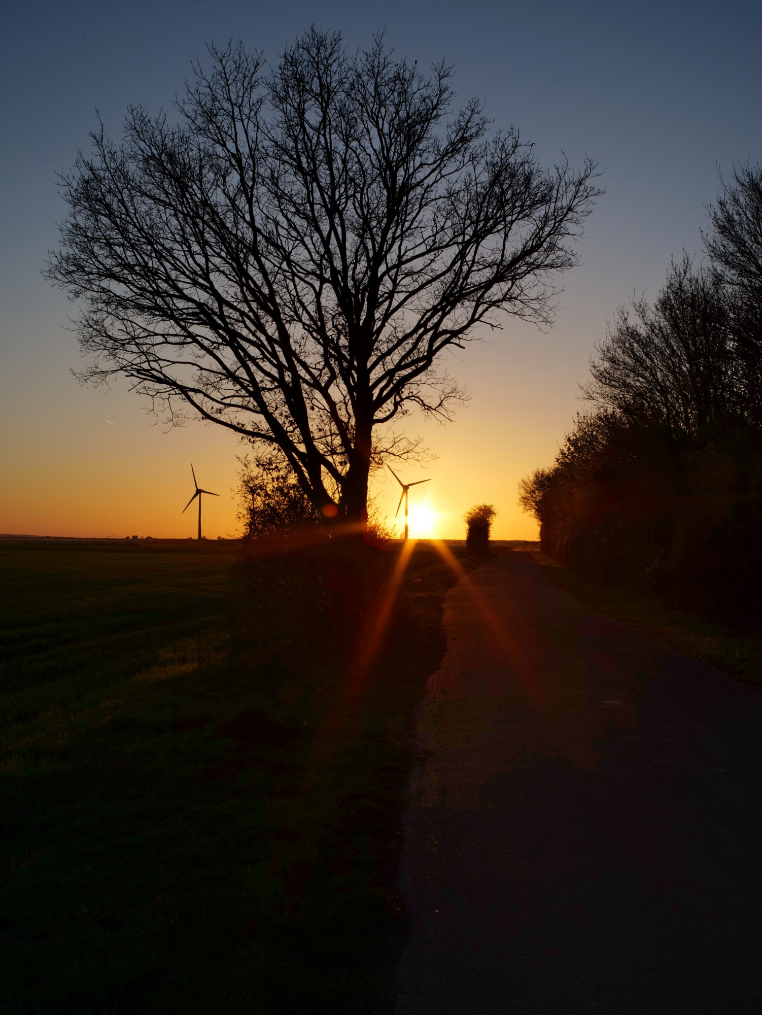 Name:  Voigtlaender Color Skoparex 35mm_Sunset.JPG
Hits: 13
Gr��e:  647,8 KB