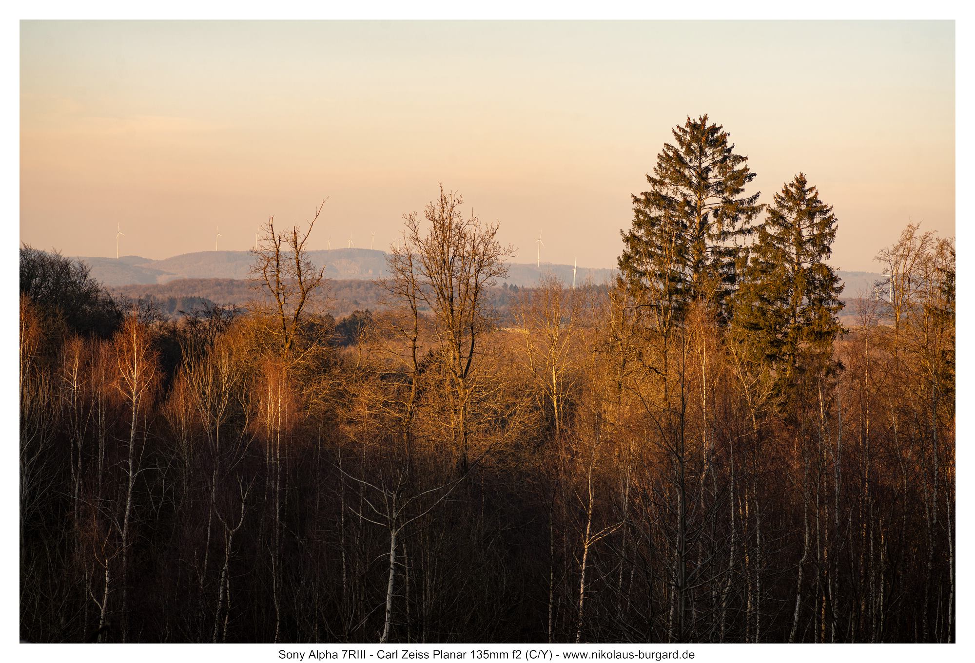 Name:  500kb_7R304485.jpg
Hits: 19
Gr��e:  491,9 KB