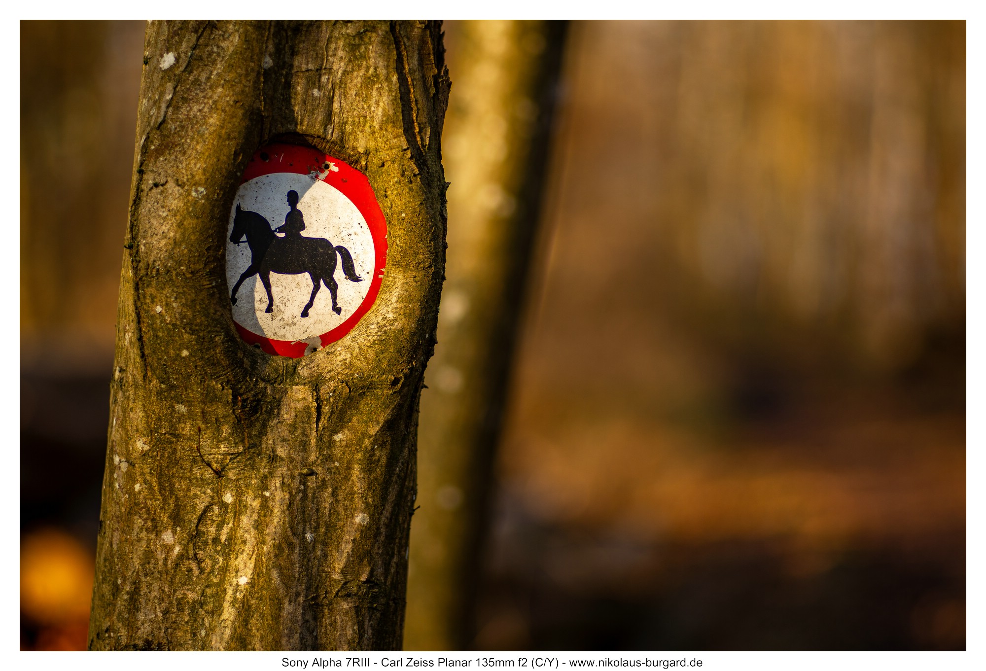 Name:  500kb_7R303687.jpg
Hits: 18
Gr��e:  494,5 KB