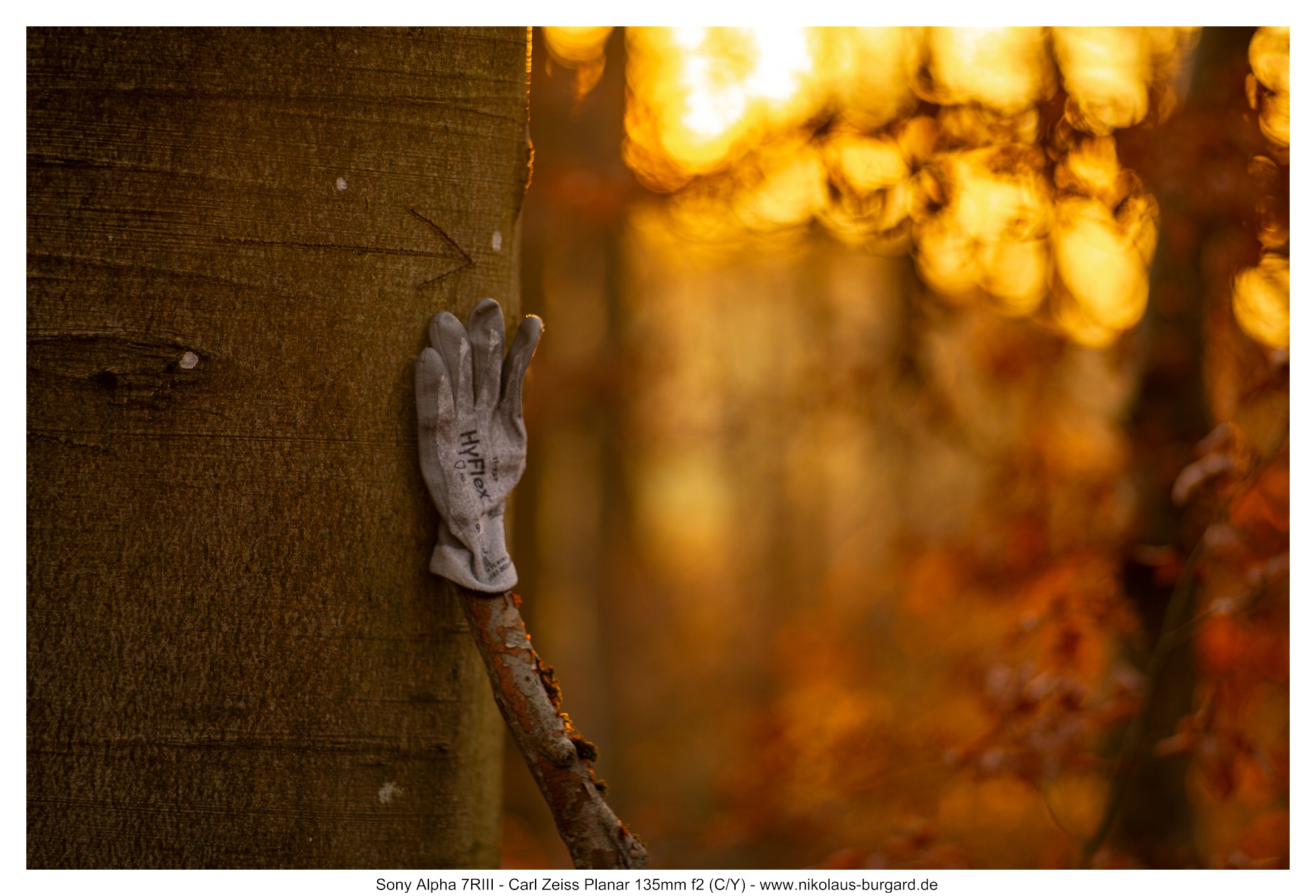 Name:  500kb_7R303704.jpg
Hits: 18
Gr��e:  487,3 KB