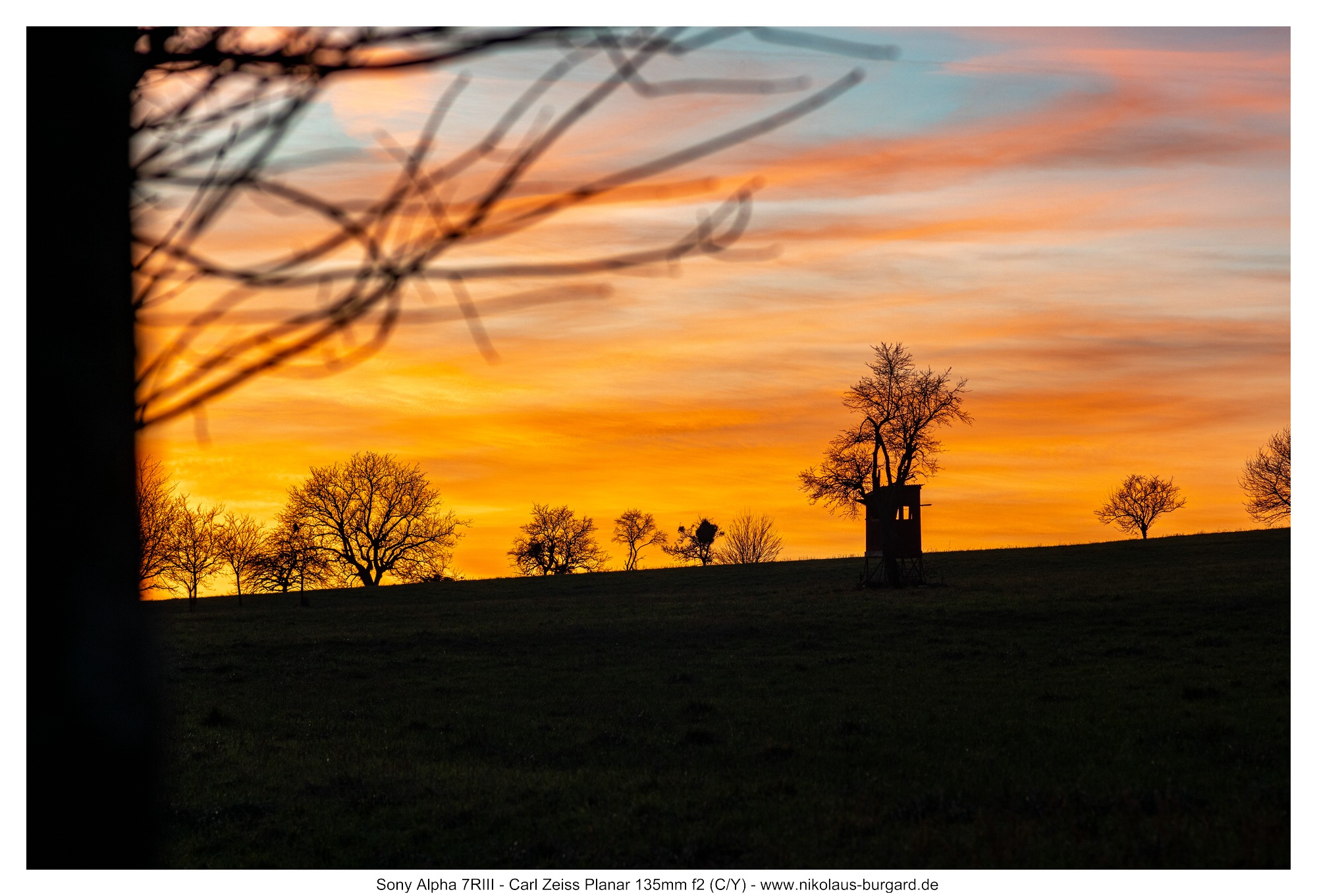 Name:  500kb_7R303717.jpg
Hits: 19
Gr��e:  480,8 KB