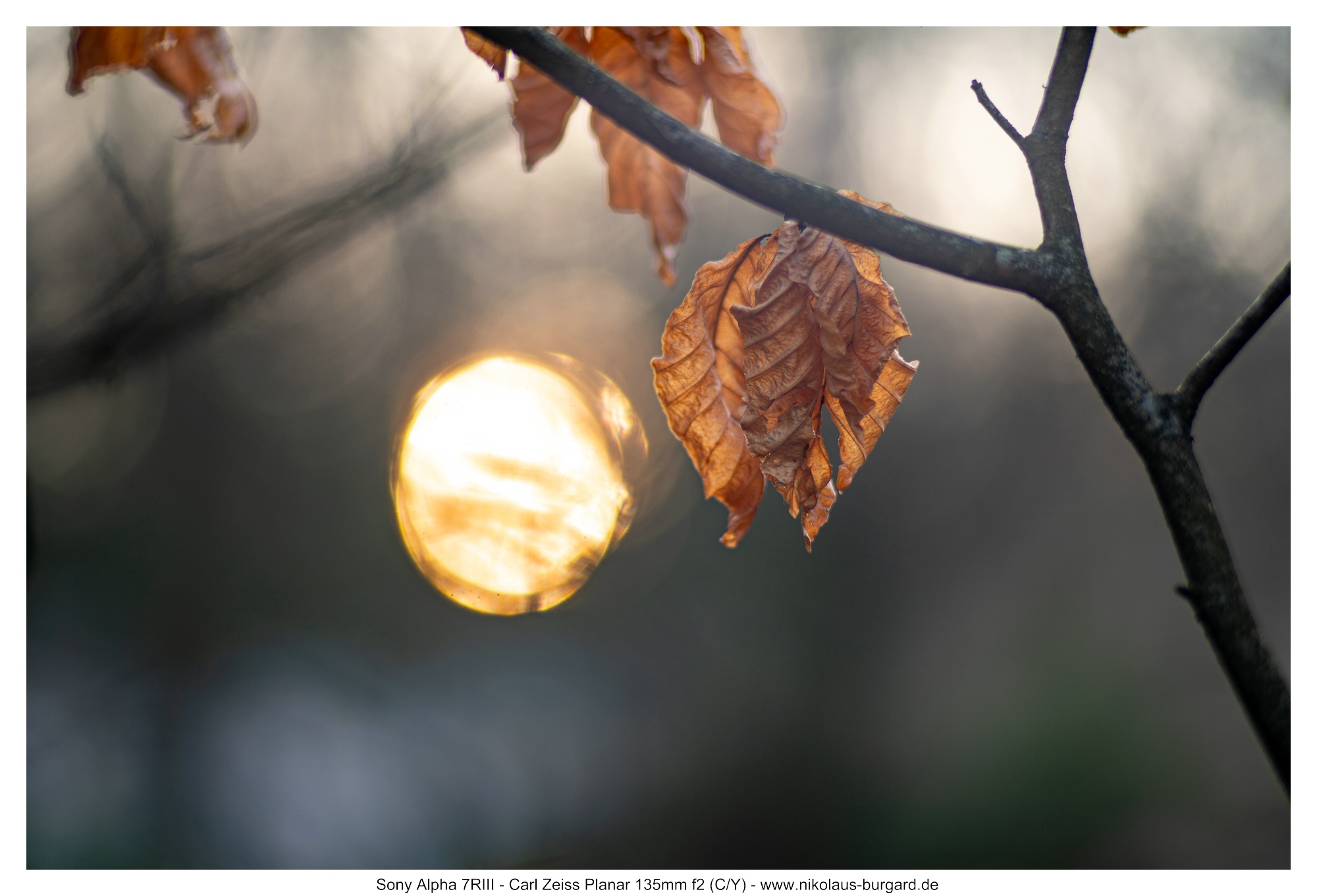 Name:  500kb_7R304482.jpg
Hits: 18
Gr��e:  426,6 KB