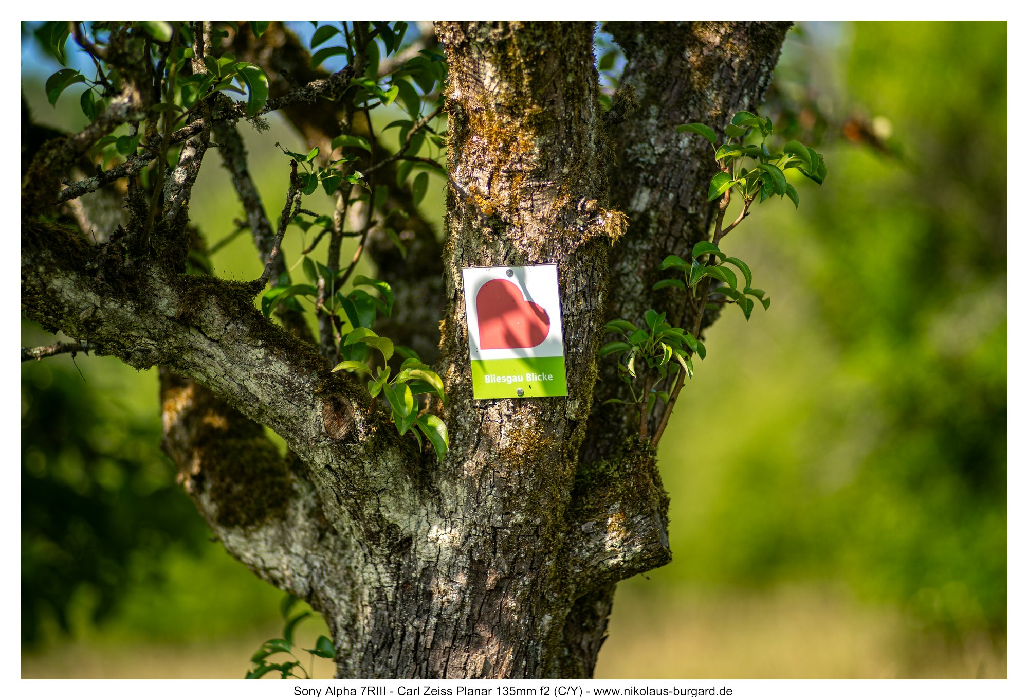 Name:  500kb_7R307343.jpg
Hits: 19
Gr��e:  492,8 KB