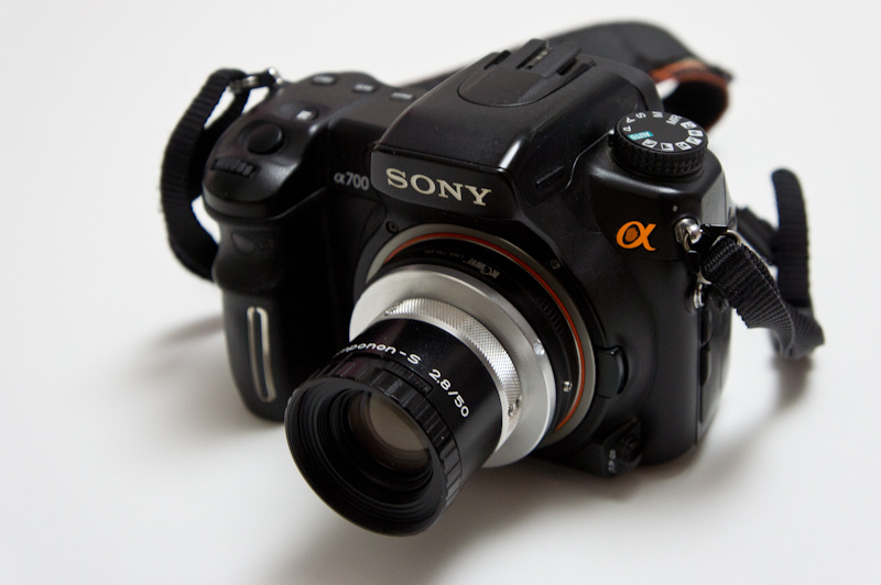 Name: DSC04356s.jpg
Hits: 499
Größe: 131,7 KB