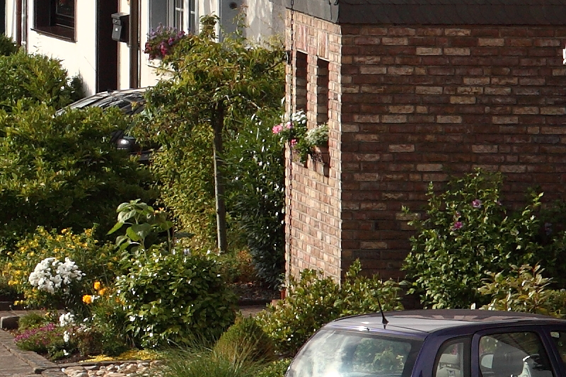 Name:  Tamron 8 Rand.JPG
Hits: 3725
Größe:  566,8 KB