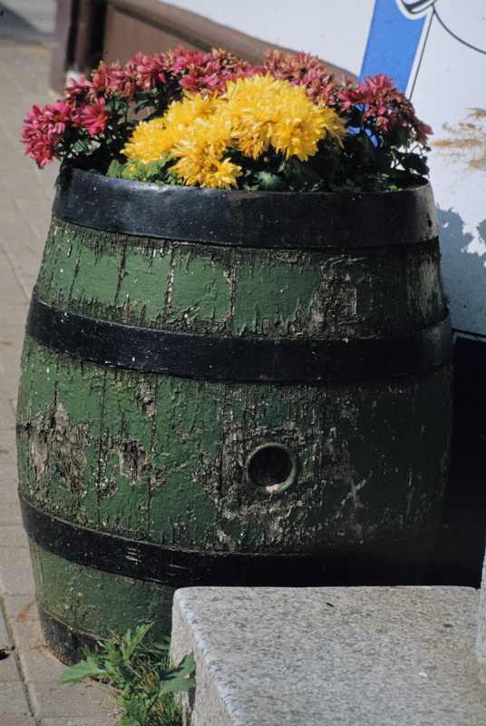 Name:  erstes-kopiertes-Dia-Noflexar-60mm.jpg
Hits: 377
Gre:  48,2 KB
