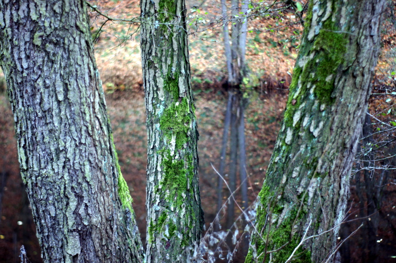 Name:  DSC02976.JPG
Hits: 1111
Gre:  335,8 KB