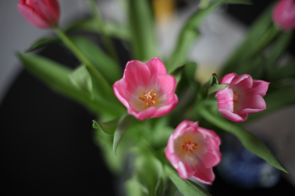 Name:  summilux14.jpg
Hits: 1000
Gre:  107,6 KB