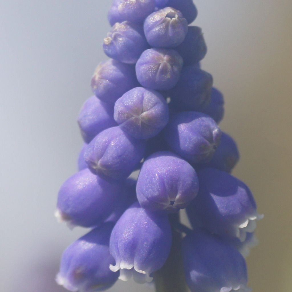 Name:  DSC04302 Meopta Belar 4,5-50 ac.jpg
Hits: 1029
Gre:  144,7 KB